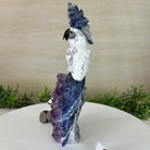 Large Hand - Carved Howlite Cockatoo 10" Long on an Amethyst Cluster #3004 - HWCAM - 057 - Brazil GemsBrazil GemsLarge Hand - Carved Howlite Cockatoo 10" Long on an Amethyst Cluster #3004 - HWCAM - 057Crystal Birds3004 - HWCAM - 057