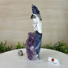 Large Hand - Carved Howlite Cockatoo 10" Long on an Amethyst Cluster #3004 - HWCAM - 057 - Brazil GemsBrazil GemsLarge Hand - Carved Howlite Cockatoo 10" Long on an Amethyst Cluster #3004 - HWCAM - 057Crystal Birds3004 - HWCAM - 057