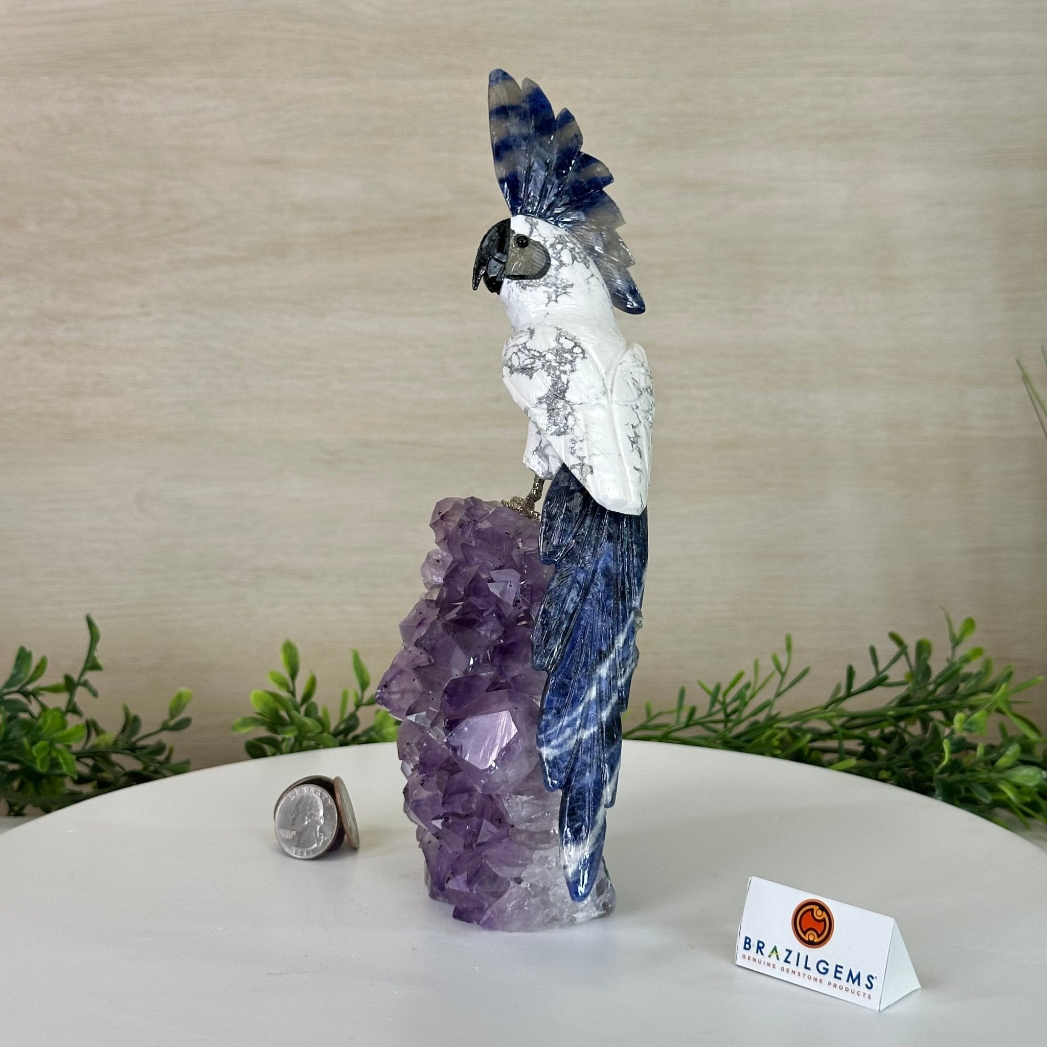 Large Hand - Carved Howlite Cockatoo 10" Long on an Amethyst Cluster #3004 - HWCAM - 057 - Brazil GemsBrazil GemsLarge Hand - Carved Howlite Cockatoo 10" Long on an Amethyst Cluster #3004 - HWCAM - 057Crystal Birds3004 - HWCAM - 057