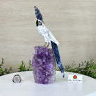 Large Hand - Carved Howlite Cockatoo 10" Long on an Amethyst Cluster #3004 - HWCAM - 057 - Brazil GemsBrazil GemsLarge Hand - Carved Howlite Cockatoo 10" Long on an Amethyst Cluster #3004 - HWCAM - 057Crystal Birds3004 - HWCAM - 057