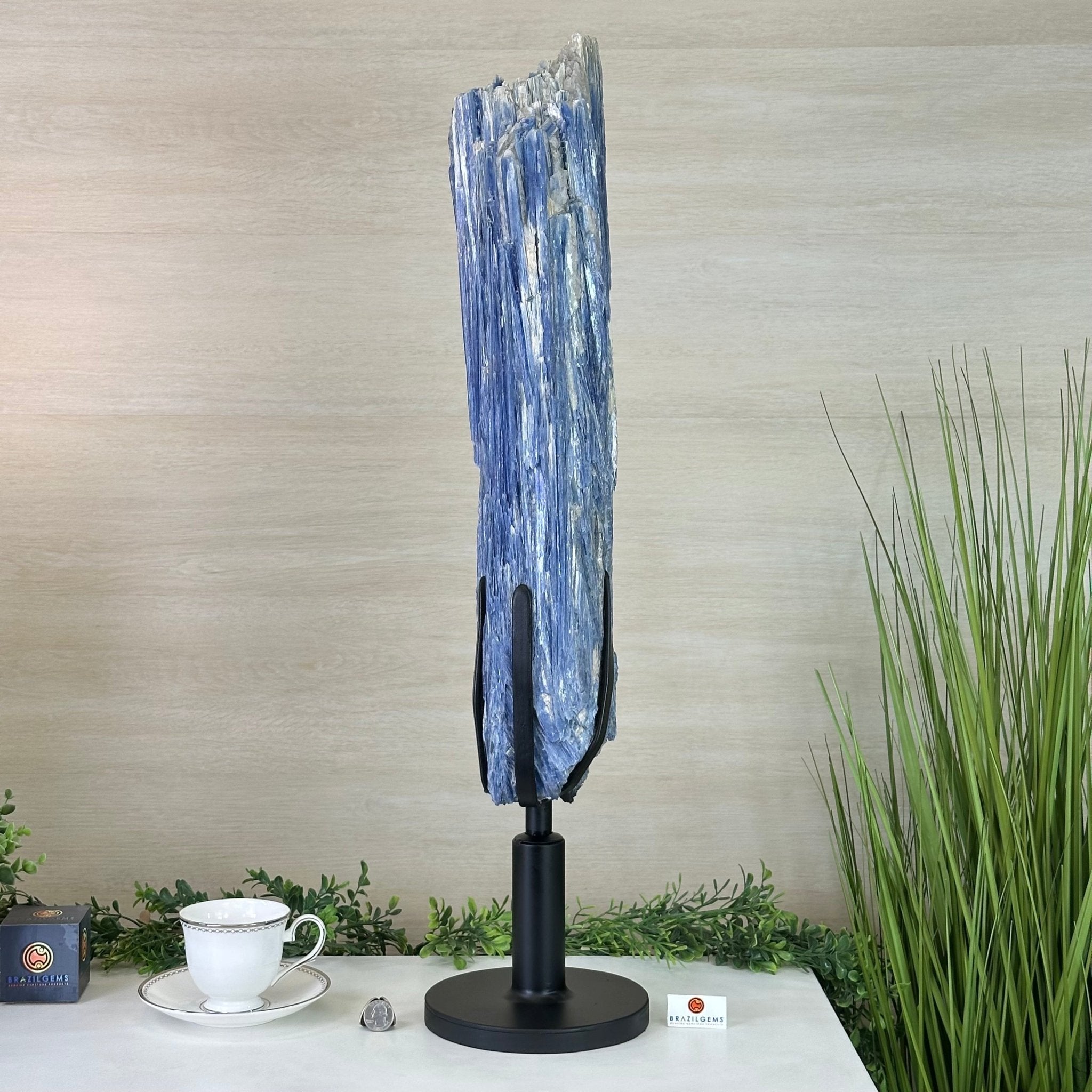 Large Kyanite Crystal on Rotating Stand, 45.6 lbs and 30.9" Tall #6011 - 0002 - Brazil GemsBrazil GemsLarge Kyanite Crystal on Rotating Stand, 45.6 lbs and 30.9" Tall #6011 - 0002Clusters on Rotating Bases6011 - 0002
