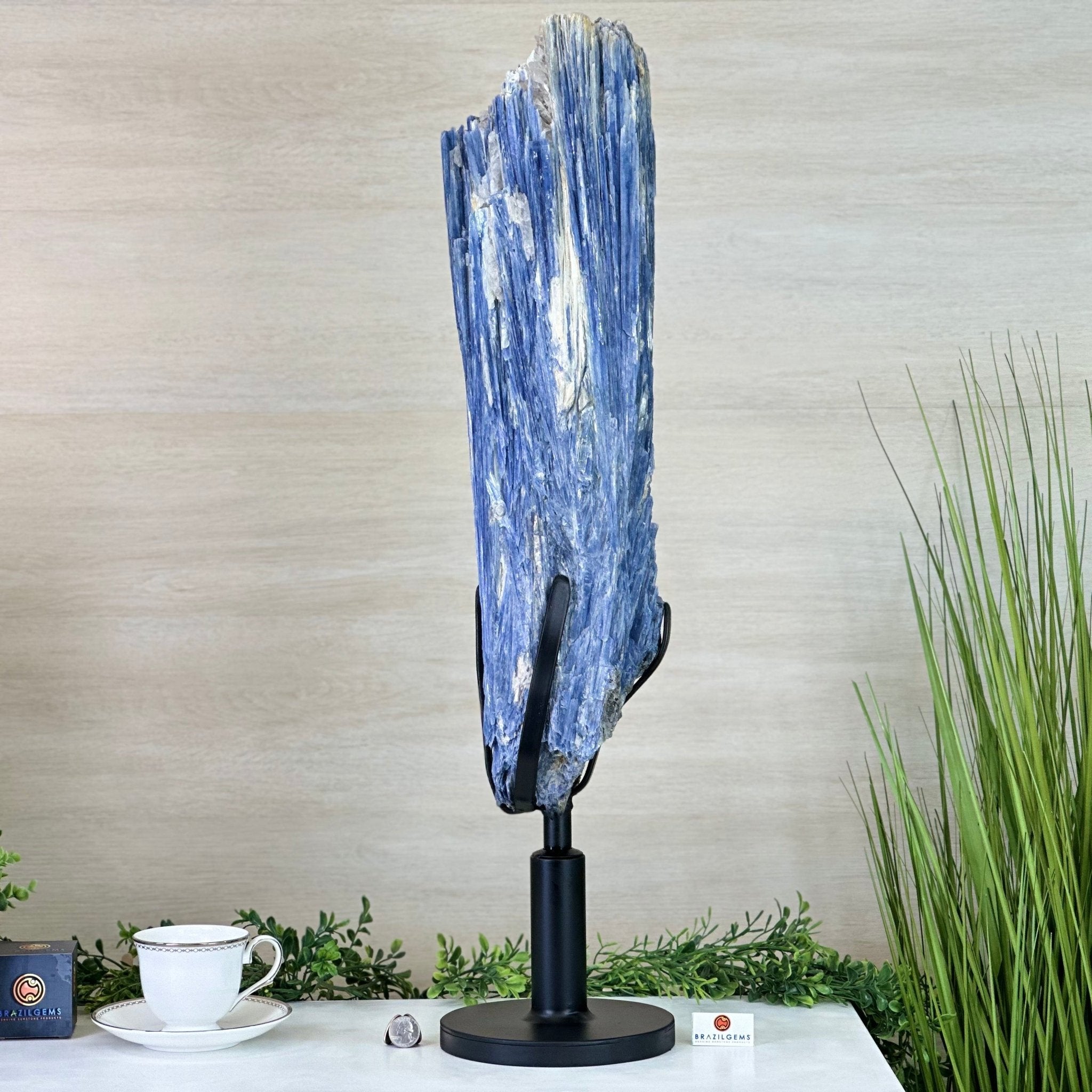 Large Kyanite Crystal on Rotating Stand, 45.6 lbs and 30.9" Tall #6011 - 0002 - Brazil GemsBrazil GemsLarge Kyanite Crystal on Rotating Stand, 45.6 lbs and 30.9" Tall #6011 - 0002Clusters on Rotating Bases6011 - 0002