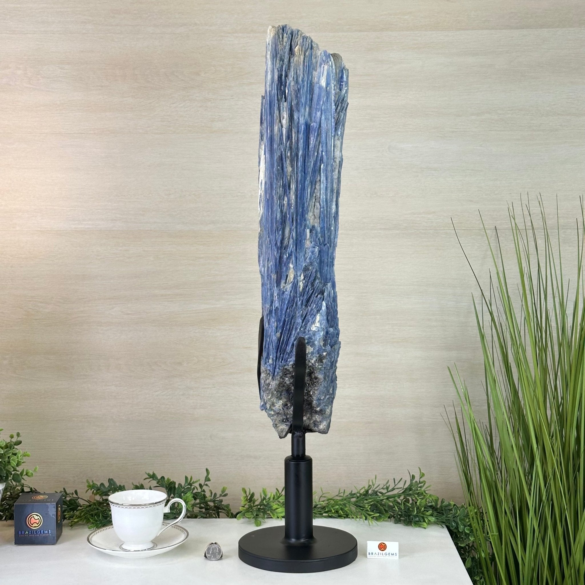 Large Kyanite Crystal on Rotating Stand, 45.6 lbs and 30.9" Tall #6011 - 0002 - Brazil GemsBrazil GemsLarge Kyanite Crystal on Rotating Stand, 45.6 lbs and 30.9" Tall #6011 - 0002Clusters on Rotating Bases6011 - 0002