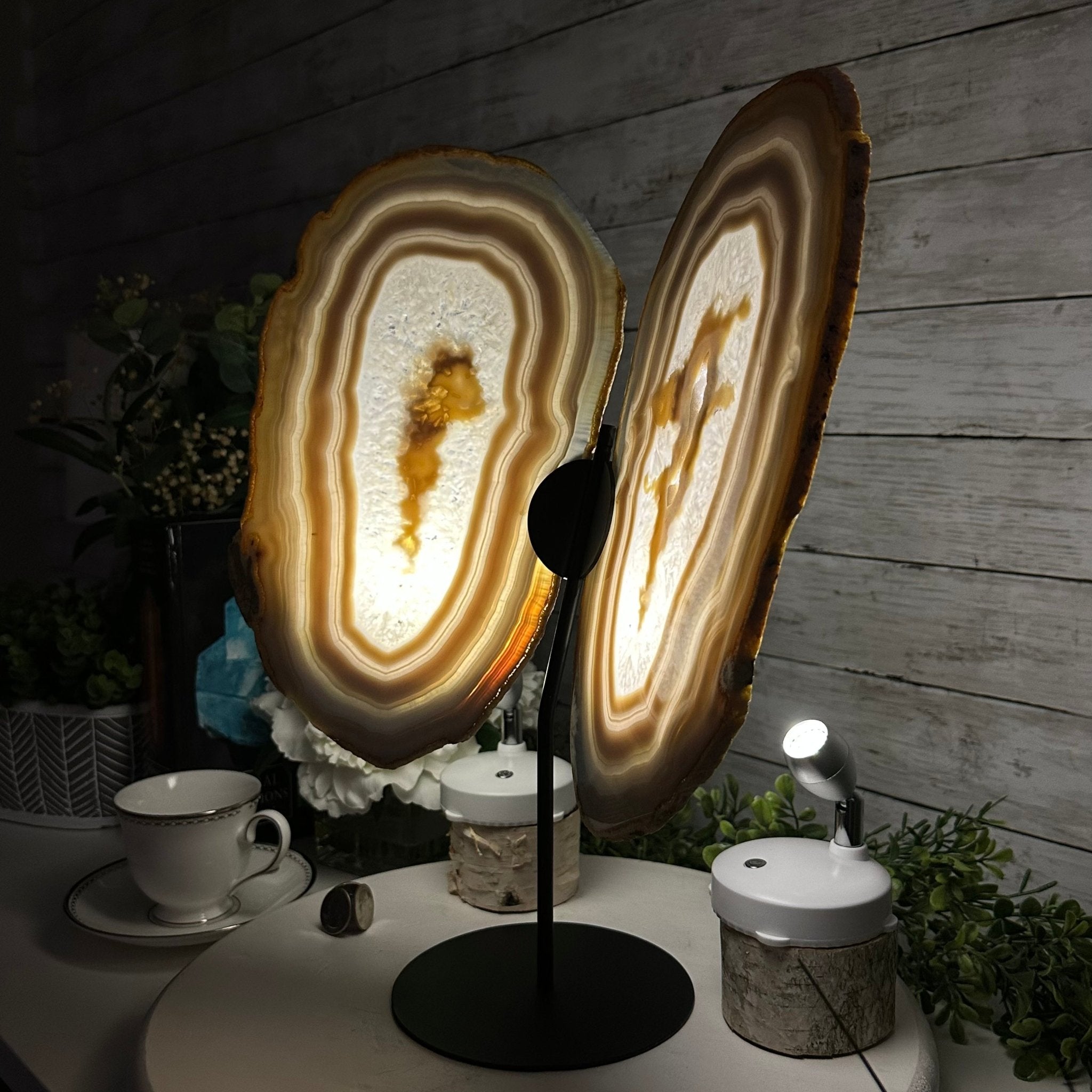 Large Natural Brazilian Agate "Butterfly Wings", Metal Stand, 16.5" Tall Model #5050NA-072 by Brazil Gems - Brazil GemsBrazil GemsLarge Natural Brazilian Agate "Butterfly Wings", Metal Stand, 16.5" Tall Model #5050NA-072 by Brazil GemsAgate Butterfly Wings5050NA-072