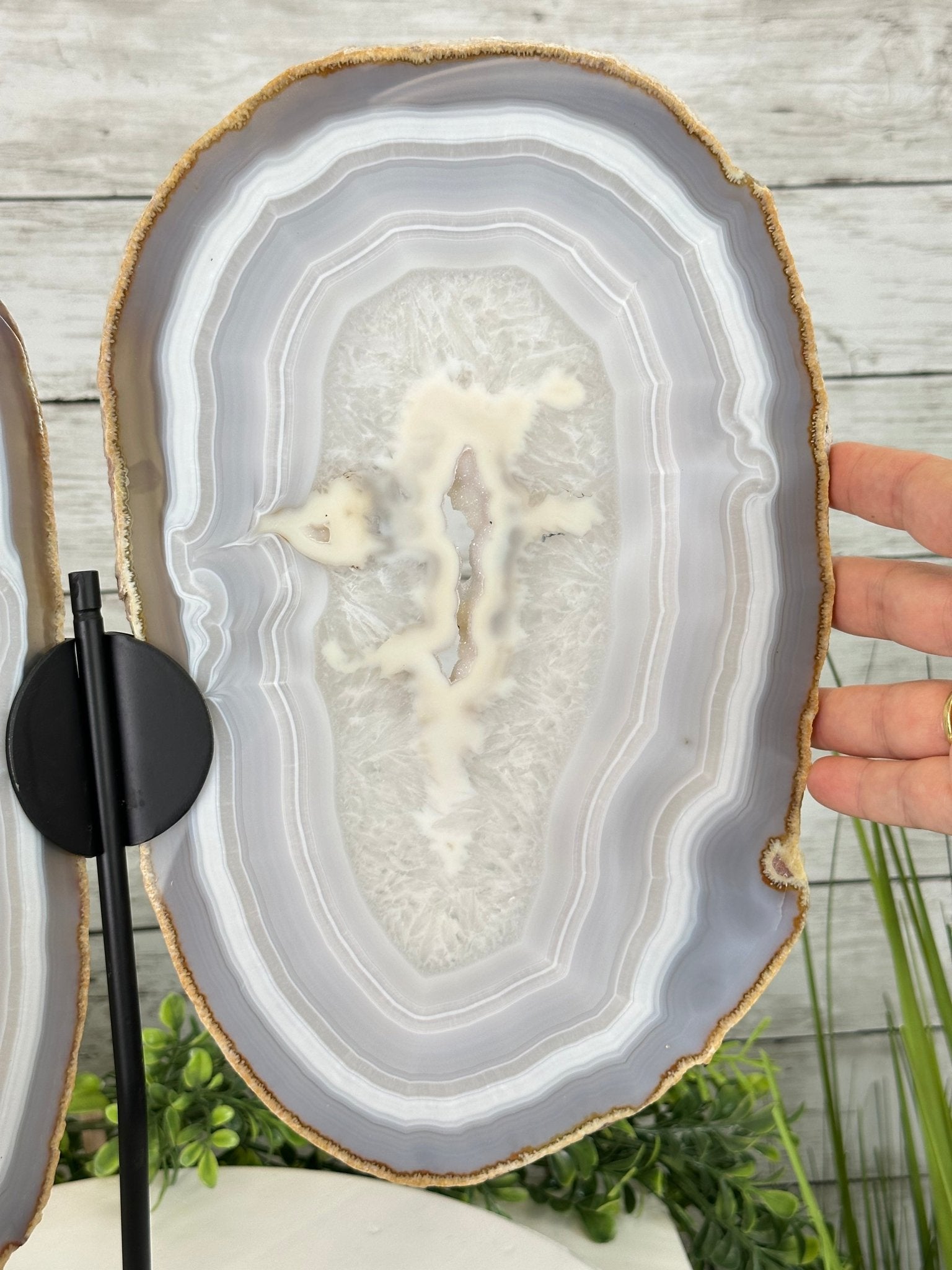 Large Natural Brazilian Agate "Butterfly Wings", Metal Stand, 16.5" Tall Model #5050NA-072 by Brazil Gems - Brazil GemsBrazil GemsLarge Natural Brazilian Agate "Butterfly Wings", Metal Stand, 16.5" Tall Model #5050NA-072 by Brazil GemsAgate Butterfly Wings5050NA-072