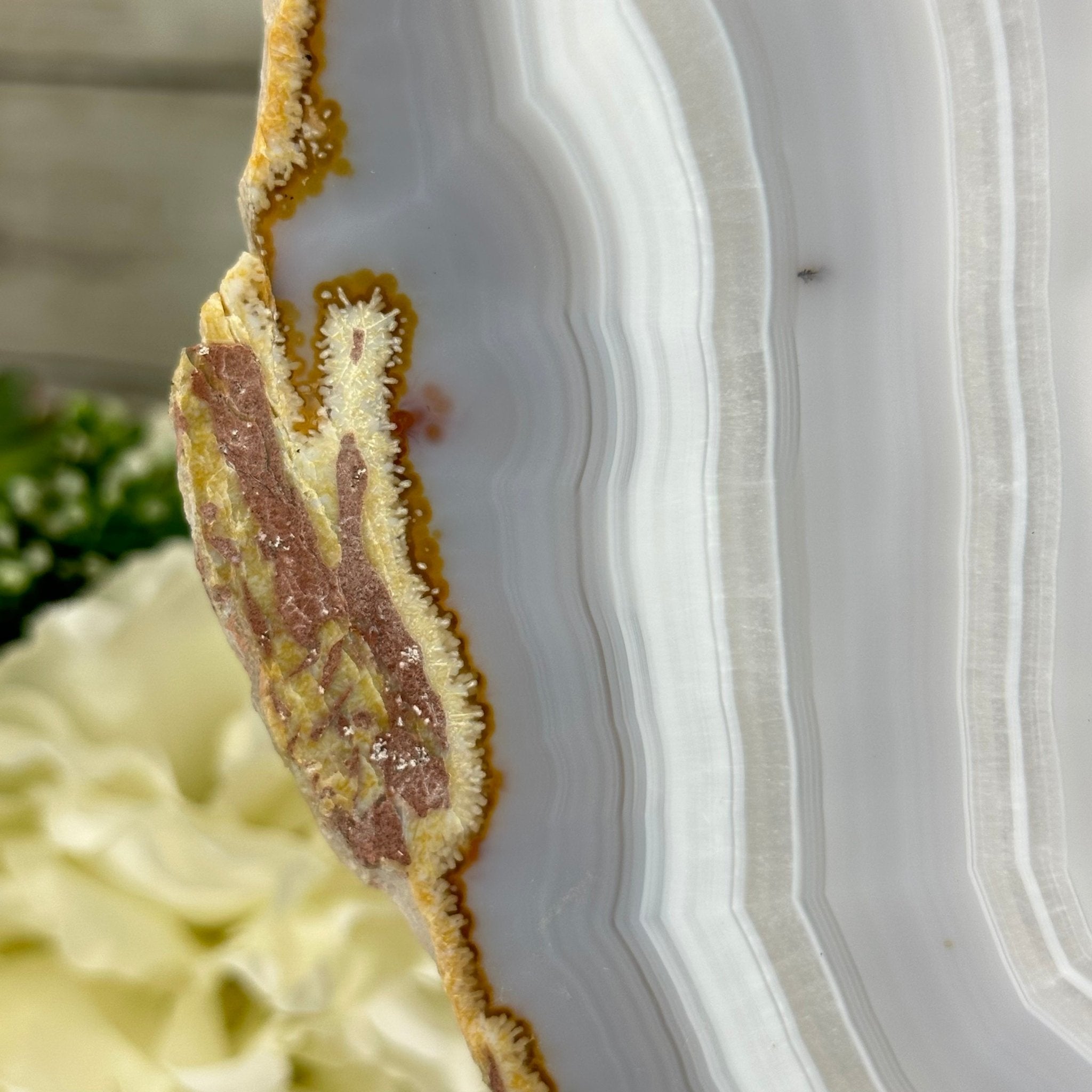 Large Natural Brazilian Agate "Butterfly Wings", Metal Stand, 16.5" Tall Model #5050NA-072 by Brazil Gems - Brazil GemsBrazil GemsLarge Natural Brazilian Agate "Butterfly Wings", Metal Stand, 16.5" Tall Model #5050NA-072 by Brazil GemsAgate Butterfly Wings5050NA-072