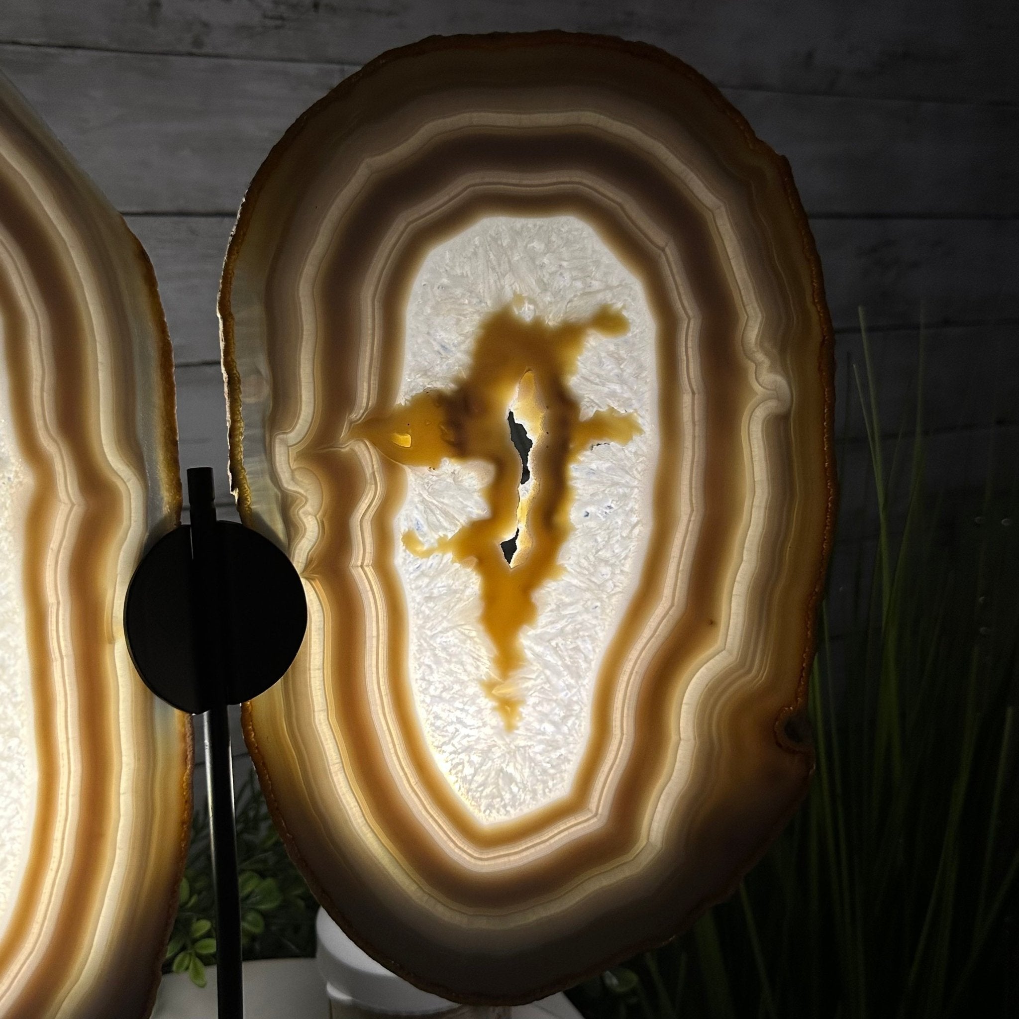 Large Natural Brazilian Agate "Butterfly Wings", Metal Stand, 16.5" Tall Model #5050NA-072 by Brazil Gems - Brazil GemsBrazil GemsLarge Natural Brazilian Agate "Butterfly Wings", Metal Stand, 16.5" Tall Model #5050NA-072 by Brazil GemsAgate Butterfly Wings5050NA-072