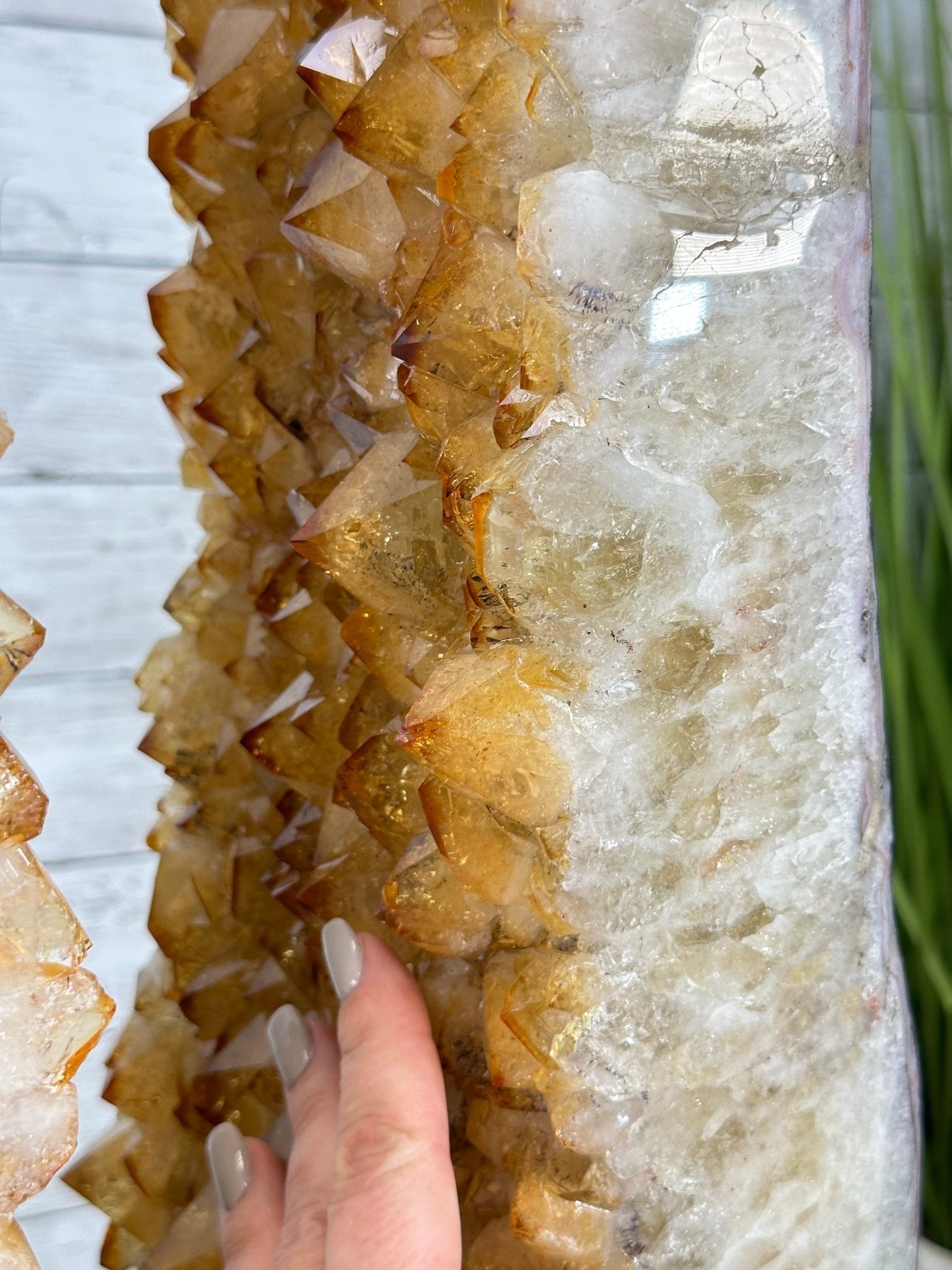 Large Open 2-Sided Brazilian Citrine Cathedral, 264.6 lbs & 64.3" tall #5608-0028 - Brazil GemsBrazil GemsLarge Open 2-Sided Brazilian Citrine Cathedral, 264.6 lbs & 64.3" tall #5608-0028Open 2-Sided Cathedrals5608-0028