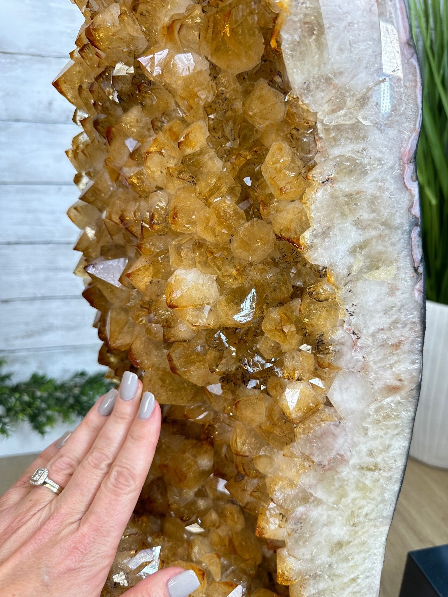 Large Open 2-Sided Brazilian Citrine Cathedral, 264.6 lbs & 64.3" tall #5608-0028 - Brazil GemsBrazil GemsLarge Open 2-Sided Brazilian Citrine Cathedral, 264.6 lbs & 64.3" tall #5608-0028Open 2-Sided Cathedrals5608-0028