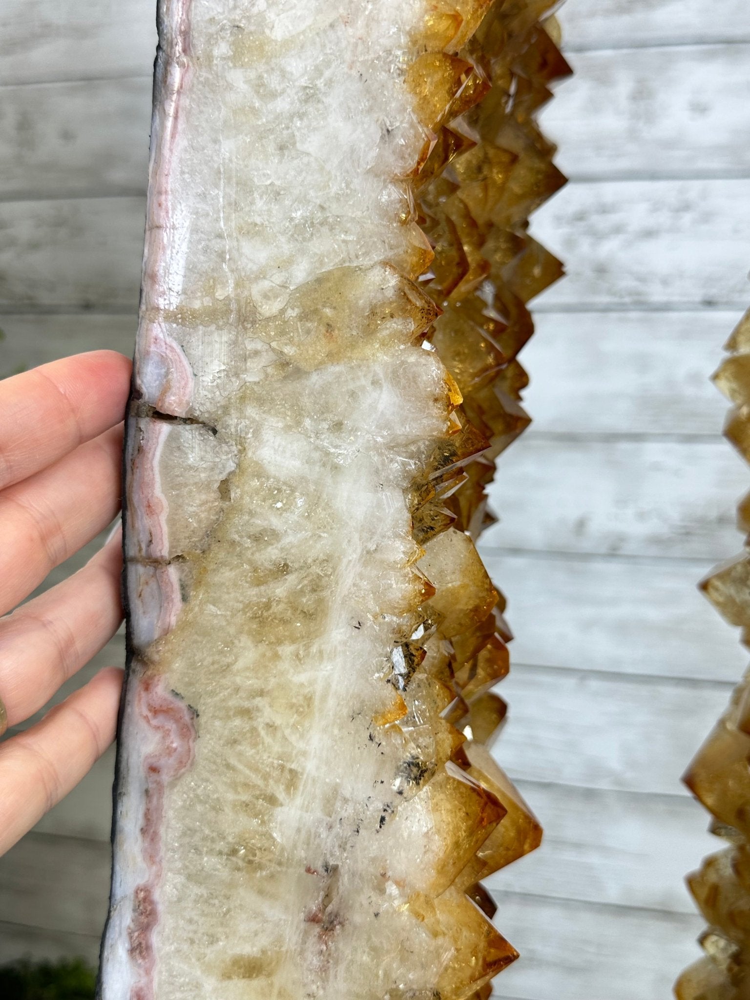 Large Open 2-Sided Brazilian Citrine Cathedral, 264.6 lbs & 64.3" tall #5608-0028 - Brazil GemsBrazil GemsLarge Open 2-Sided Brazilian Citrine Cathedral, 264.6 lbs & 64.3" tall #5608-0028Open 2-Sided Cathedrals5608-0028