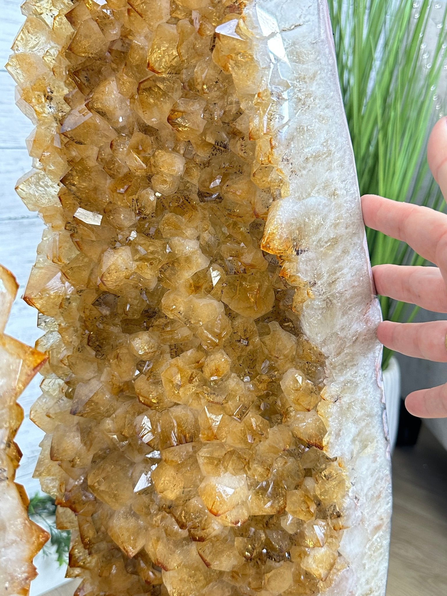 Large Open 2-Sided Brazilian Citrine Cathedral, 264.6 lbs & 64.3" tall #5608-0028 - Brazil GemsBrazil GemsLarge Open 2-Sided Brazilian Citrine Cathedral, 264.6 lbs & 64.3" tall #5608-0028Open 2-Sided Cathedrals5608-0028