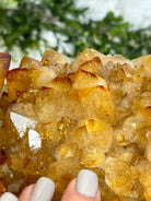 Large Open 2-Sided Brazilian Citrine Cathedral, 264.6 lbs & 64.3" tall #5608-0028 - Brazil GemsBrazil GemsLarge Open 2-Sided Brazilian Citrine Cathedral, 264.6 lbs & 64.3" tall #5608-0028Open 2-Sided Cathedrals5608-0028