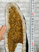 Large Open 2-Sided Brazilian Citrine Cathedral, 264.6 lbs & 64.3" tall #5608-0028 - Brazil GemsBrazil GemsLarge Open 2-Sided Brazilian Citrine Cathedral, 264.6 lbs & 64.3" tall #5608-0028Open 2-Sided Cathedrals5608-0028