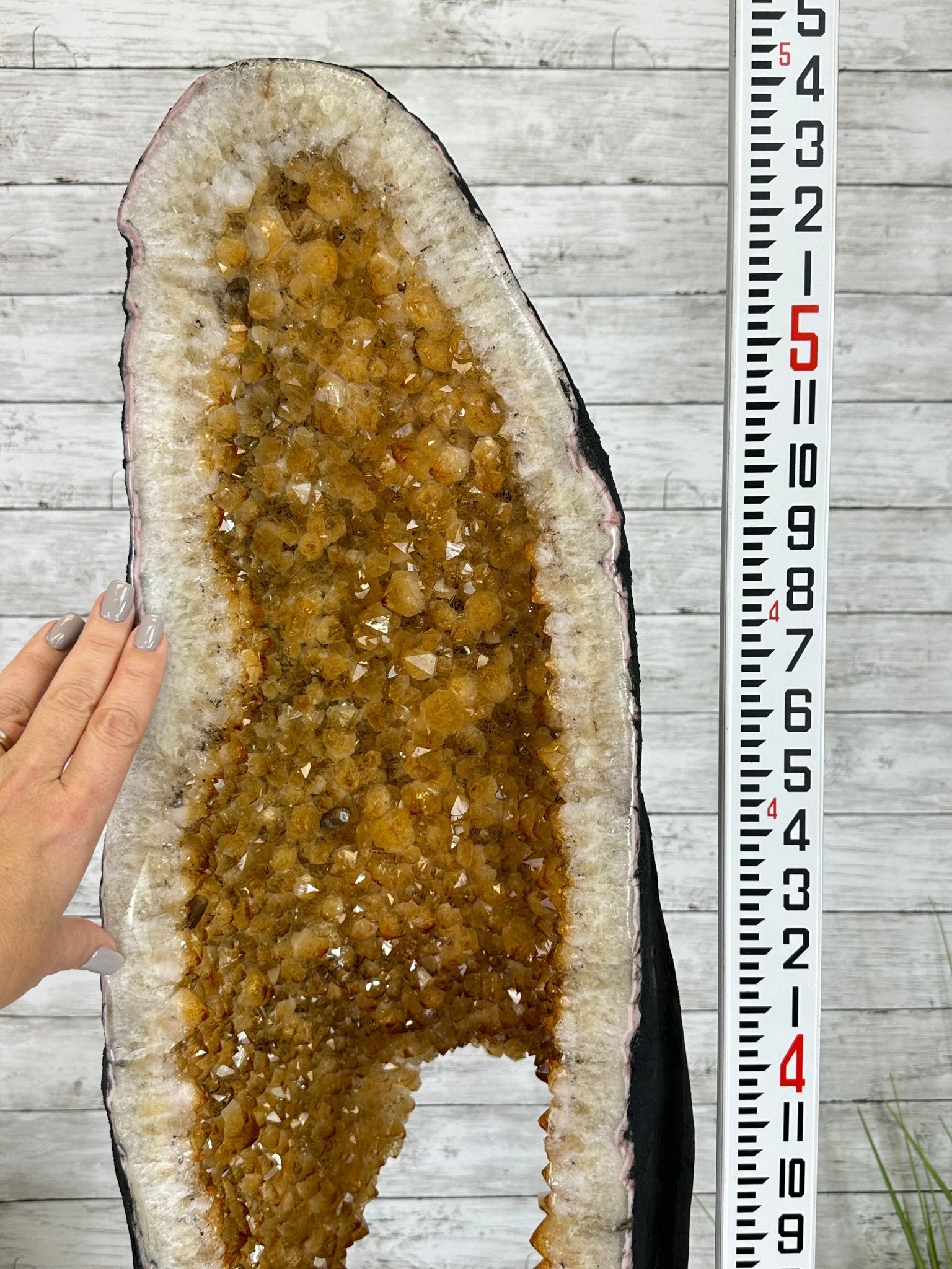 Large Open 2-Sided Brazilian Citrine Cathedral, 264.6 lbs & 64.3" tall #5608-0028 - Brazil GemsBrazil GemsLarge Open 2-Sided Brazilian Citrine Cathedral, 264.6 lbs & 64.3" tall #5608-0028Open 2-Sided Cathedrals5608-0028
