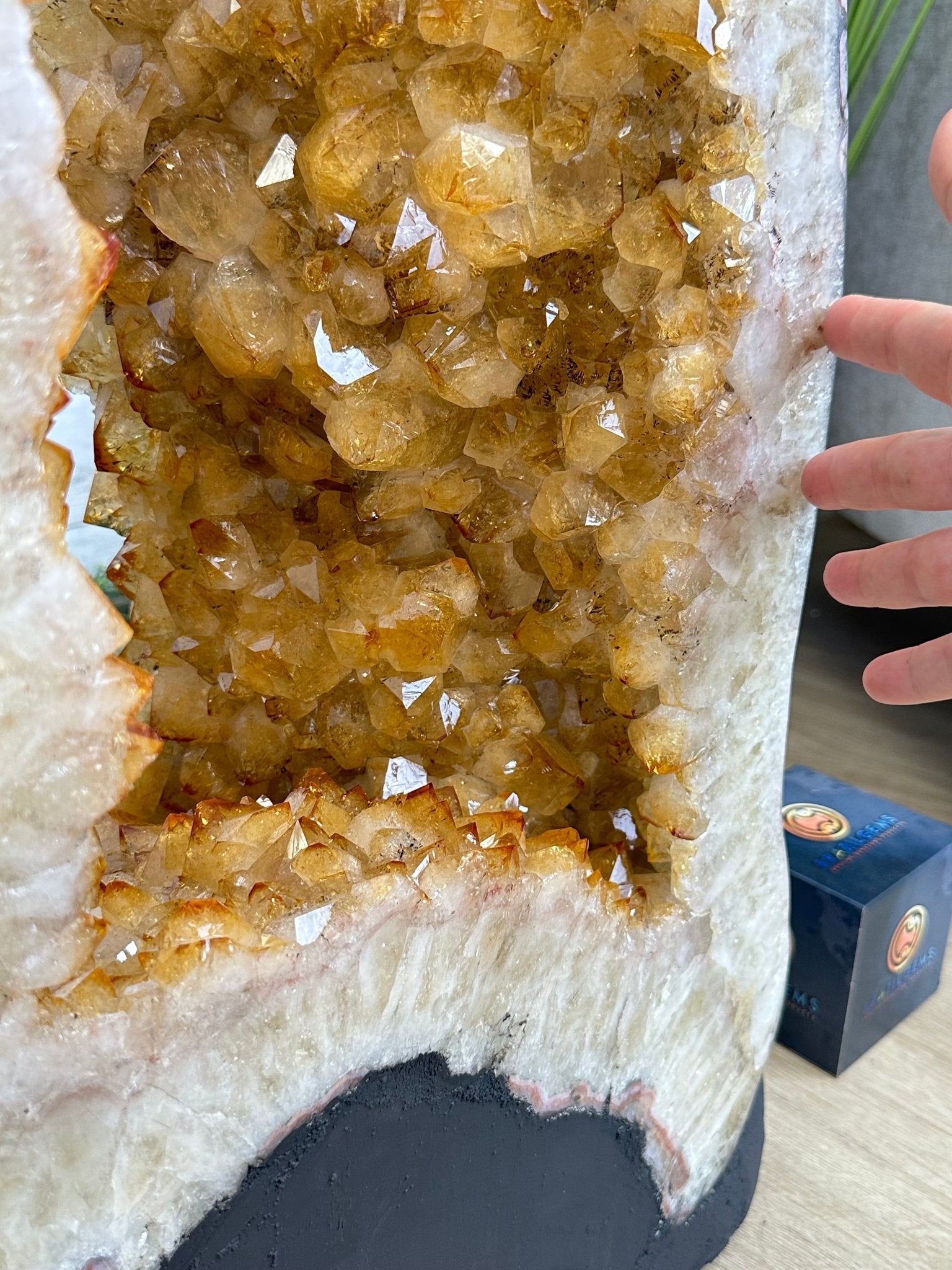 Large Open 2-Sided Brazilian Citrine Cathedral, 264.6 lbs & 64.3" tall #5608-0028 - Brazil GemsBrazil GemsLarge Open 2-Sided Brazilian Citrine Cathedral, 264.6 lbs & 64.3" tall #5608-0028Open 2-Sided Cathedrals5608-0028