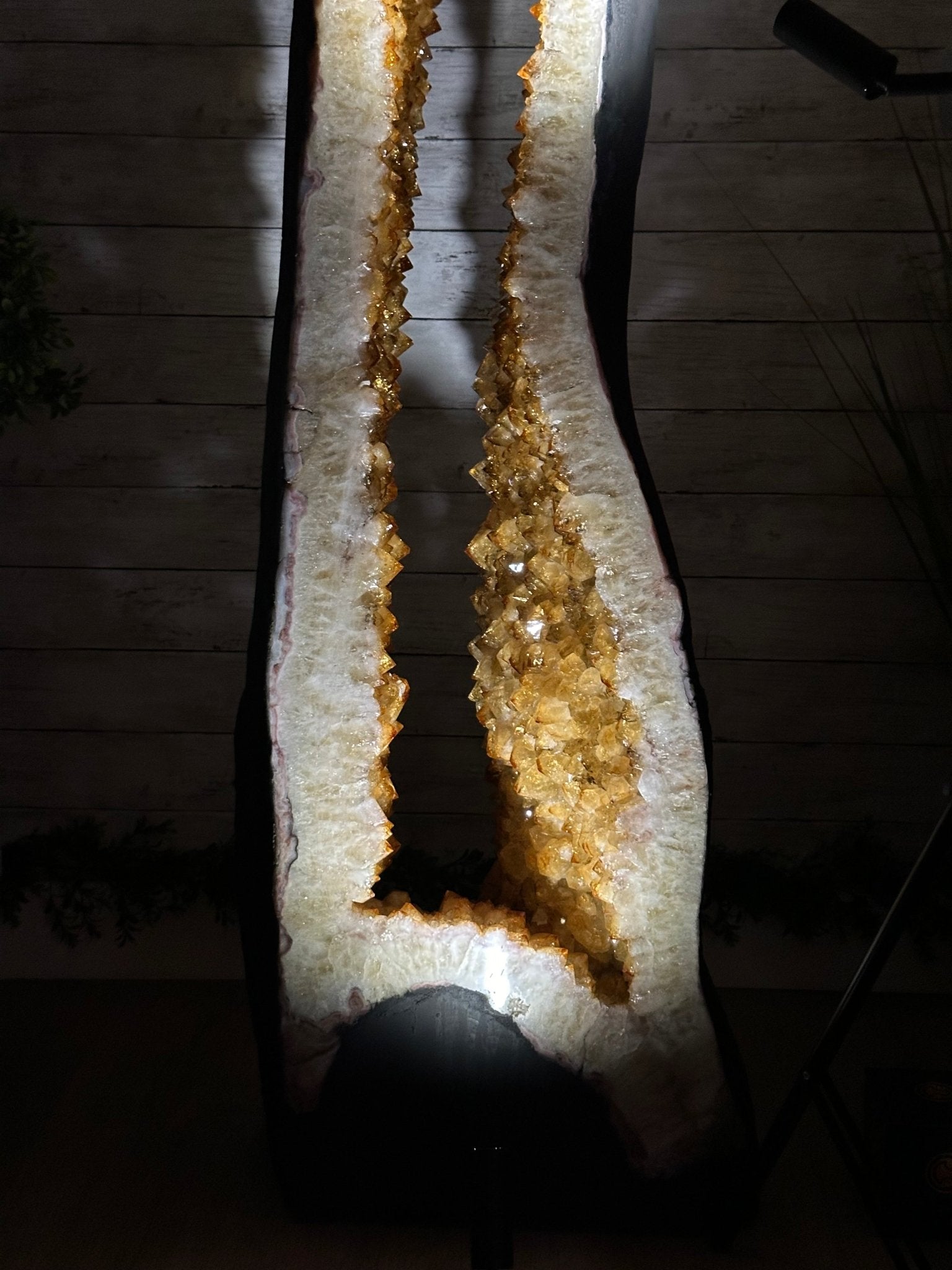 Large Open 2-Sided Brazilian Citrine Cathedral, 264.6 lbs & 64.3" tall #5608-0028 - Brazil GemsBrazil GemsLarge Open 2-Sided Brazilian Citrine Cathedral, 264.6 lbs & 64.3" tall #5608-0028Open 2-Sided Cathedrals5608-0028