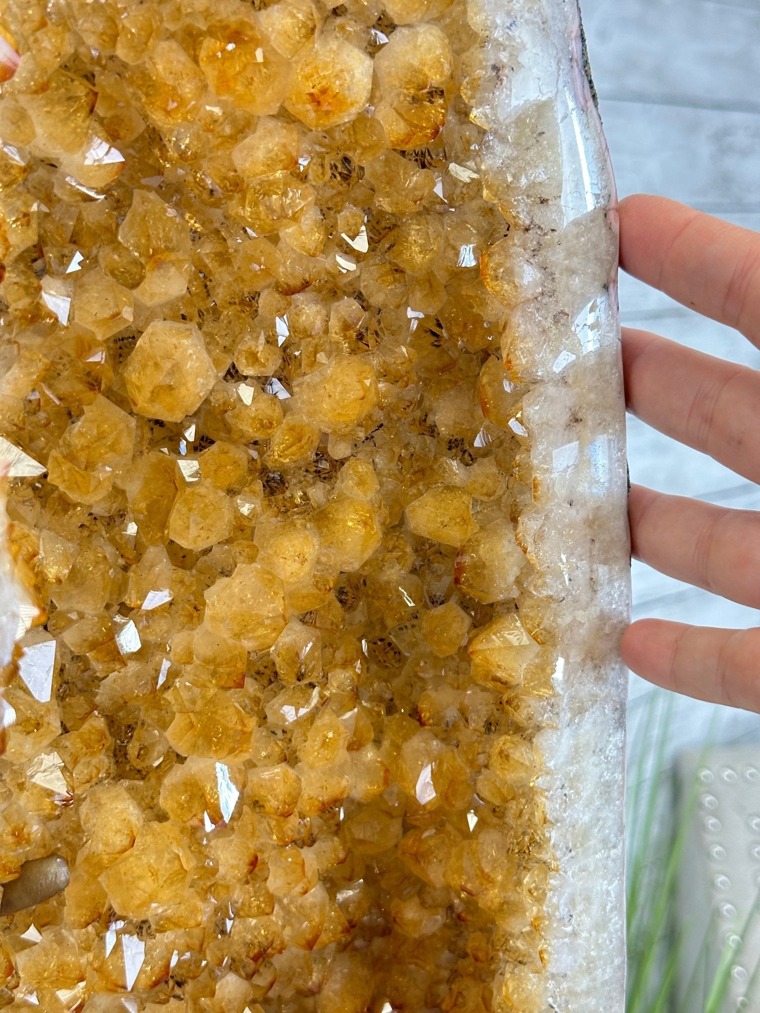 Large Open 2-Sided Brazilian Citrine Cathedral, 264.6 lbs & 64.3" tall #5608-0028 - Brazil GemsBrazil GemsLarge Open 2-Sided Brazilian Citrine Cathedral, 264.6 lbs & 64.3" tall #5608-0028Open 2-Sided Cathedrals5608-0028