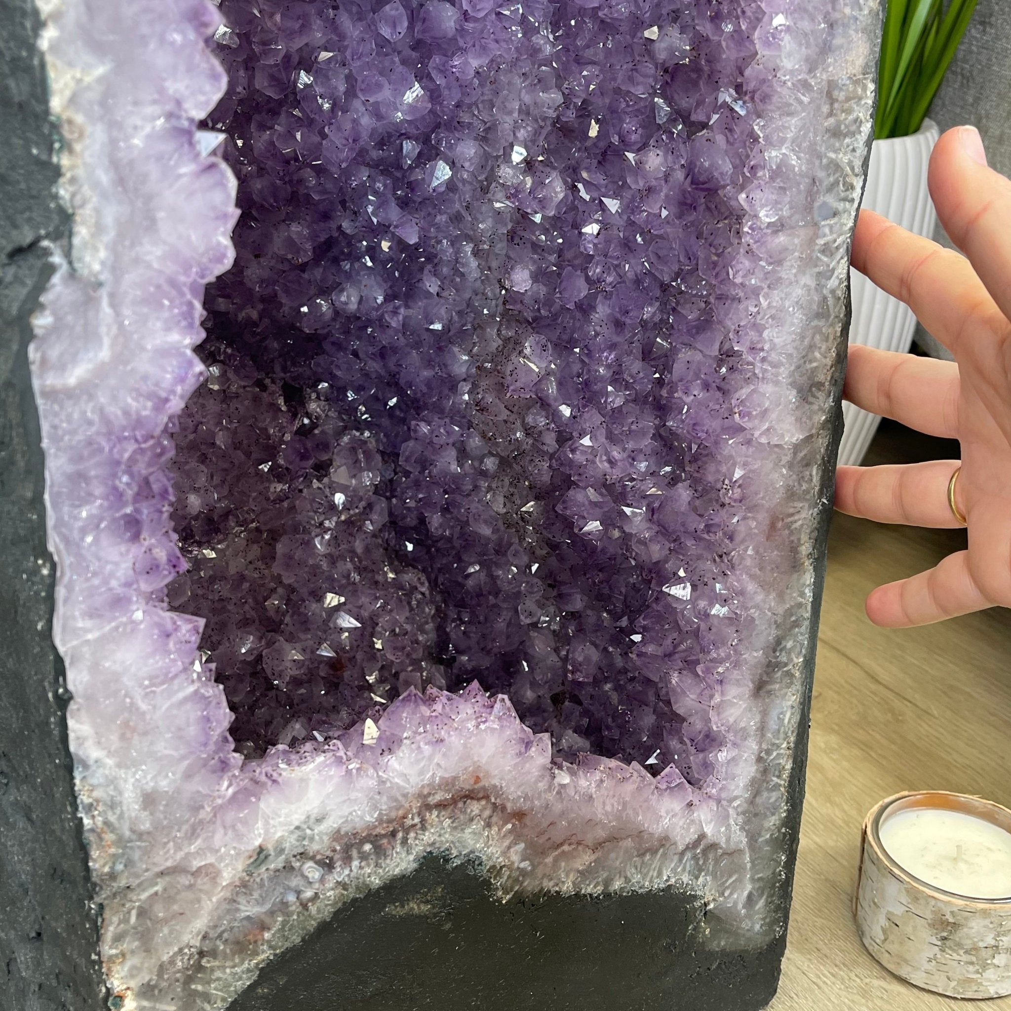 Large Standard Plus Quality Brazilian Amethyst Cathedral, 204 lbs & 39.9" Tall #5601-1180 by Brazil Gems - Brazil GemsBrazil GemsLarge Standard Plus Quality Brazilian Amethyst Cathedral, 204 lbs & 39.9" Tall #5601-1180 by Brazil GemsCathedrals5601-1180