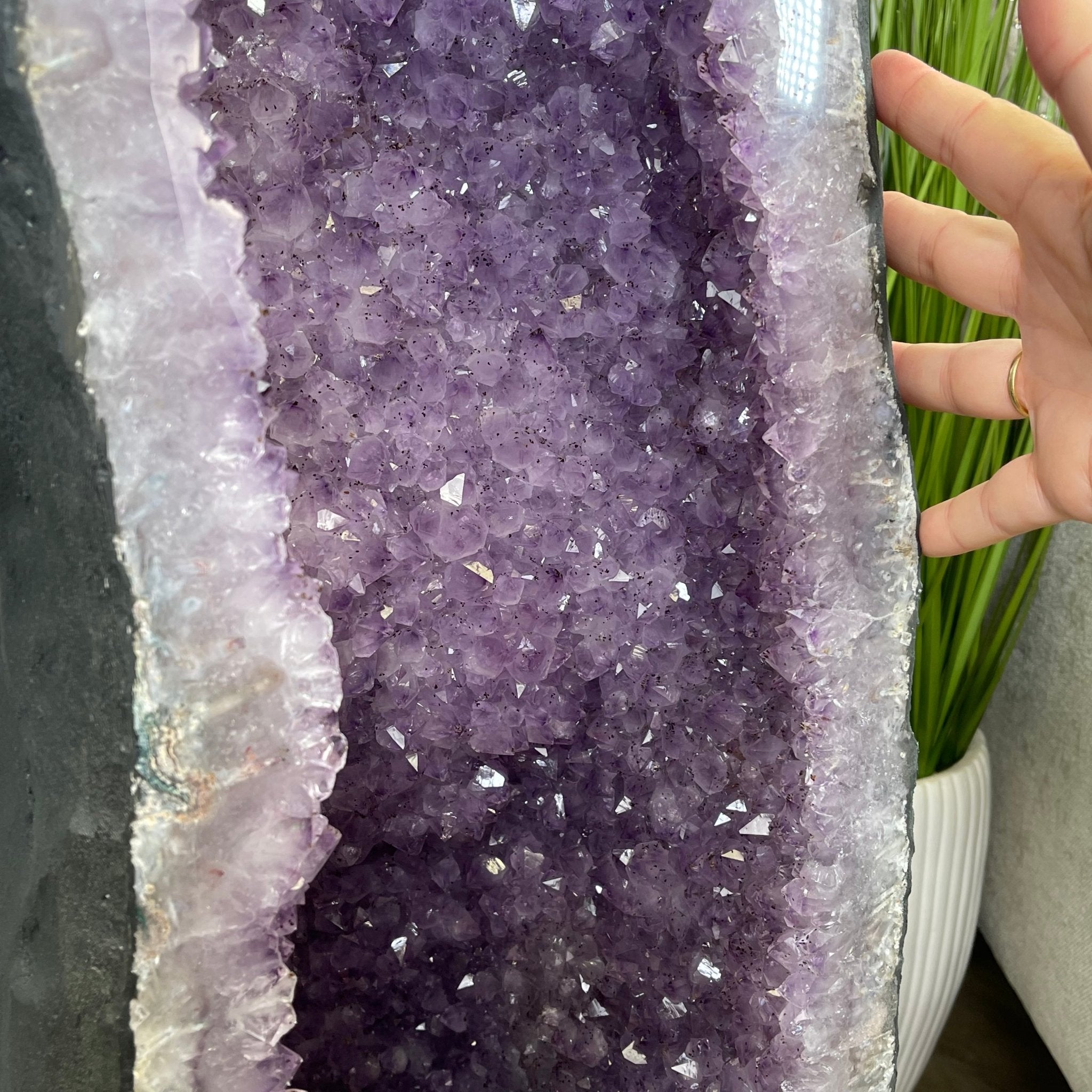 Large Standard Plus Quality Brazilian Amethyst Cathedral, 204 lbs & 39.9" Tall #5601-1180 by Brazil Gems - Brazil GemsBrazil GemsLarge Standard Plus Quality Brazilian Amethyst Cathedral, 204 lbs & 39.9" Tall #5601-1180 by Brazil GemsCathedrals5601-1180
