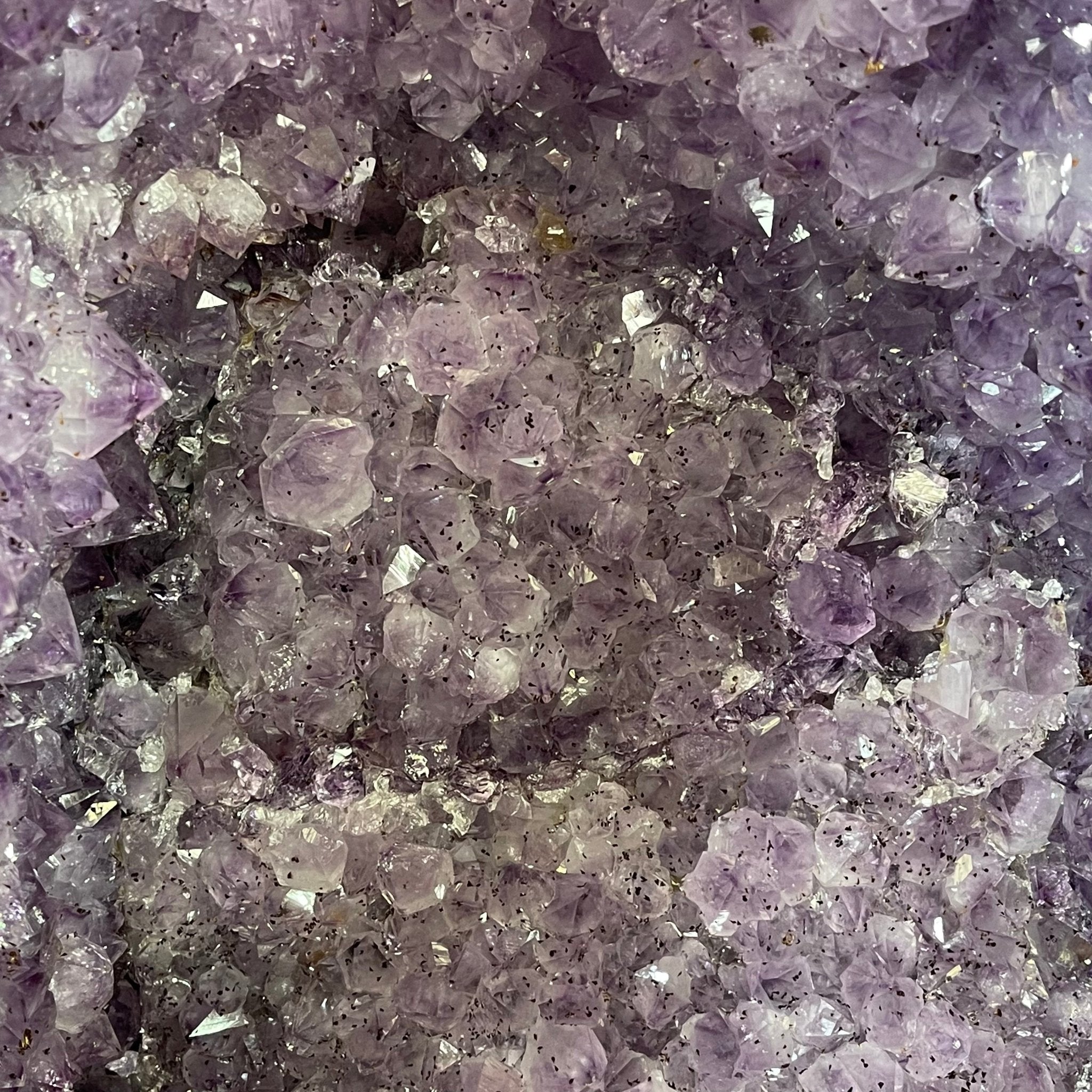 Large Standard Plus Quality Brazilian Amethyst Cathedral, 204 lbs & 39.9" Tall #5601-1180 by Brazil Gems - Brazil GemsBrazil GemsLarge Standard Plus Quality Brazilian Amethyst Cathedral, 204 lbs & 39.9" Tall #5601-1180 by Brazil GemsCathedrals5601-1180