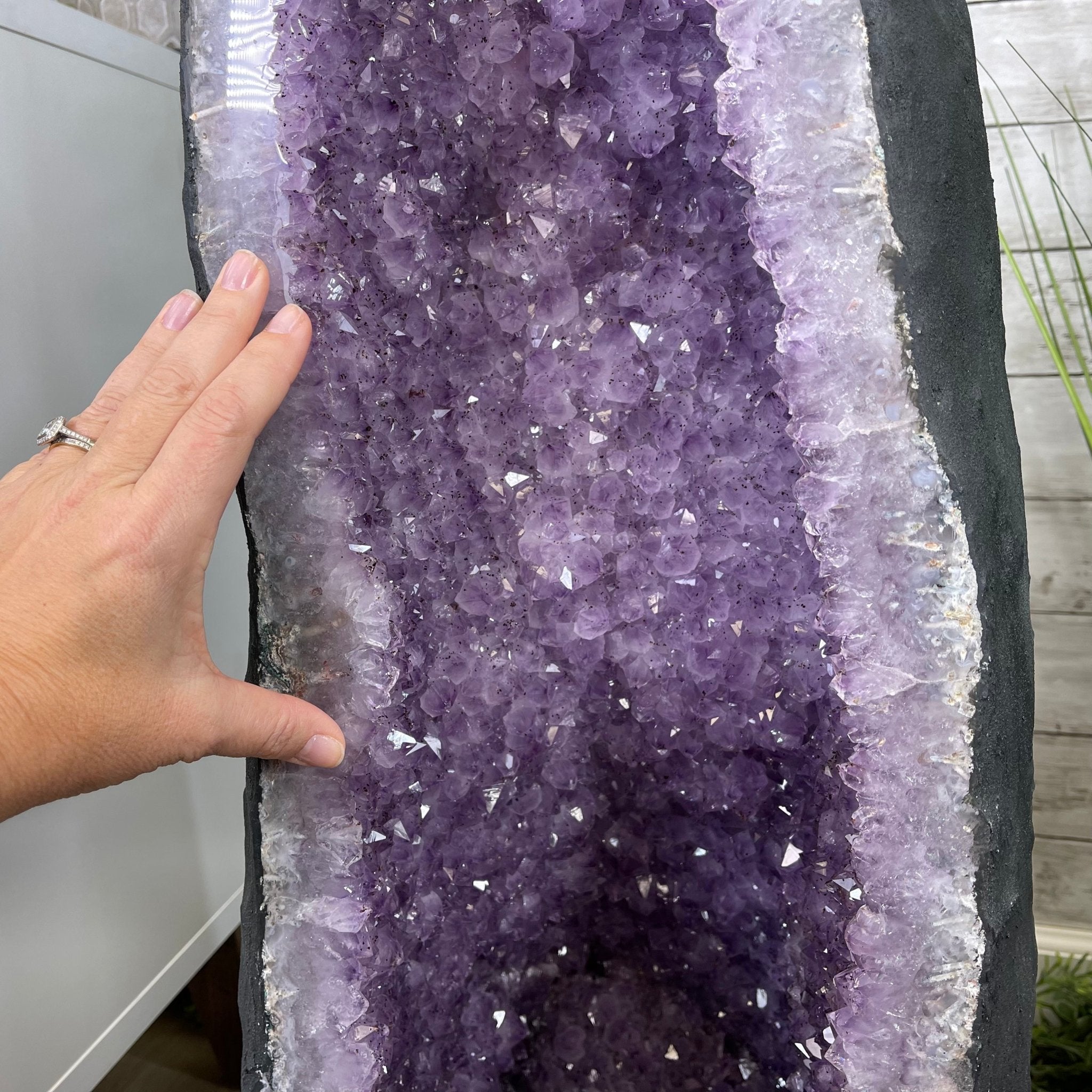 Large Standard Plus Quality Brazilian Amethyst Cathedral, 204 lbs & 39.9" Tall #5601-1180 by Brazil Gems - Brazil GemsBrazil GemsLarge Standard Plus Quality Brazilian Amethyst Cathedral, 204 lbs & 39.9" Tall #5601-1180 by Brazil GemsCathedrals5601-1180