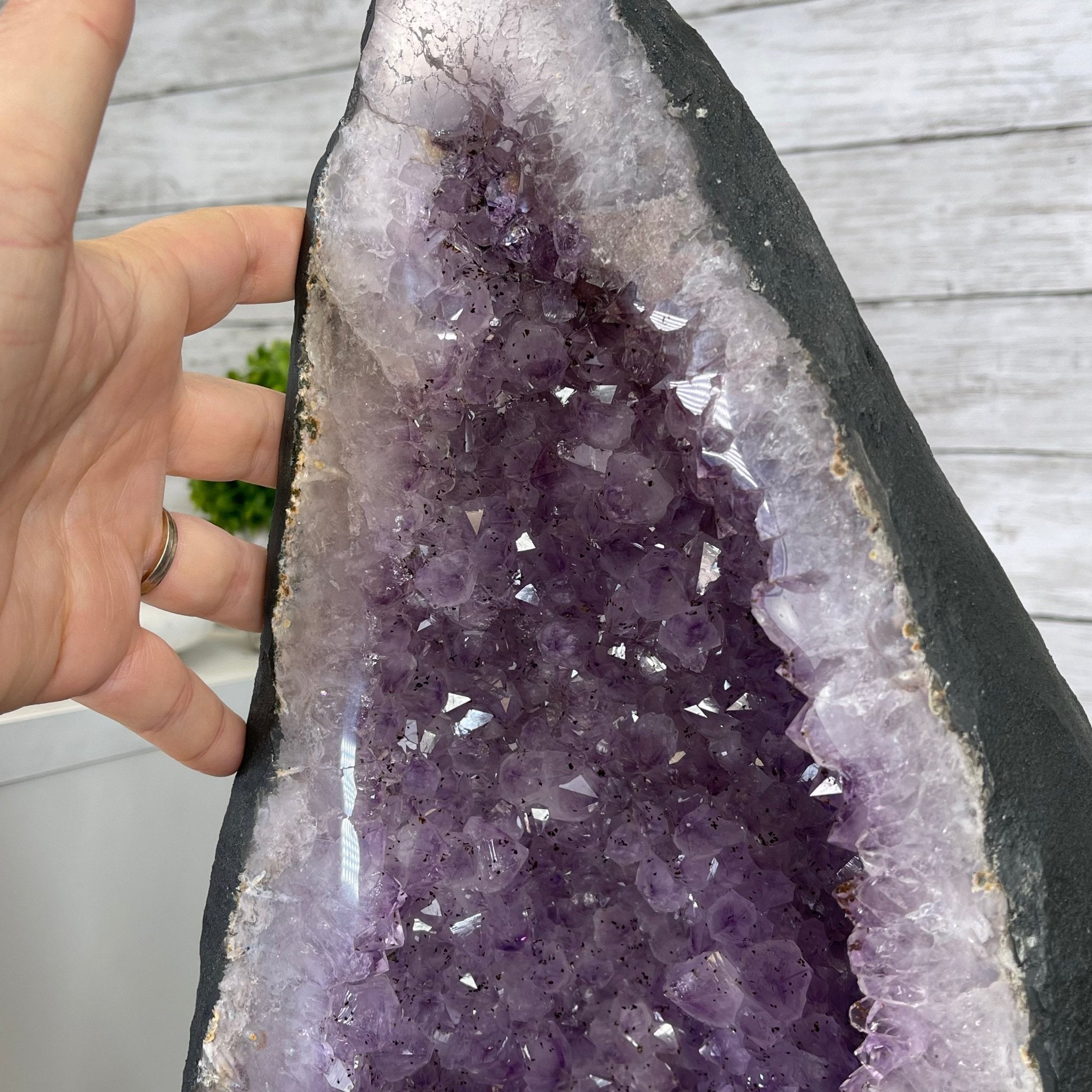 Large Standard Plus Quality Brazilian Amethyst Cathedral, 204 lbs & 39.9" Tall #5601-1180 by Brazil Gems - Brazil GemsBrazil GemsLarge Standard Plus Quality Brazilian Amethyst Cathedral, 204 lbs & 39.9" Tall #5601-1180 by Brazil GemsCathedrals5601-1180