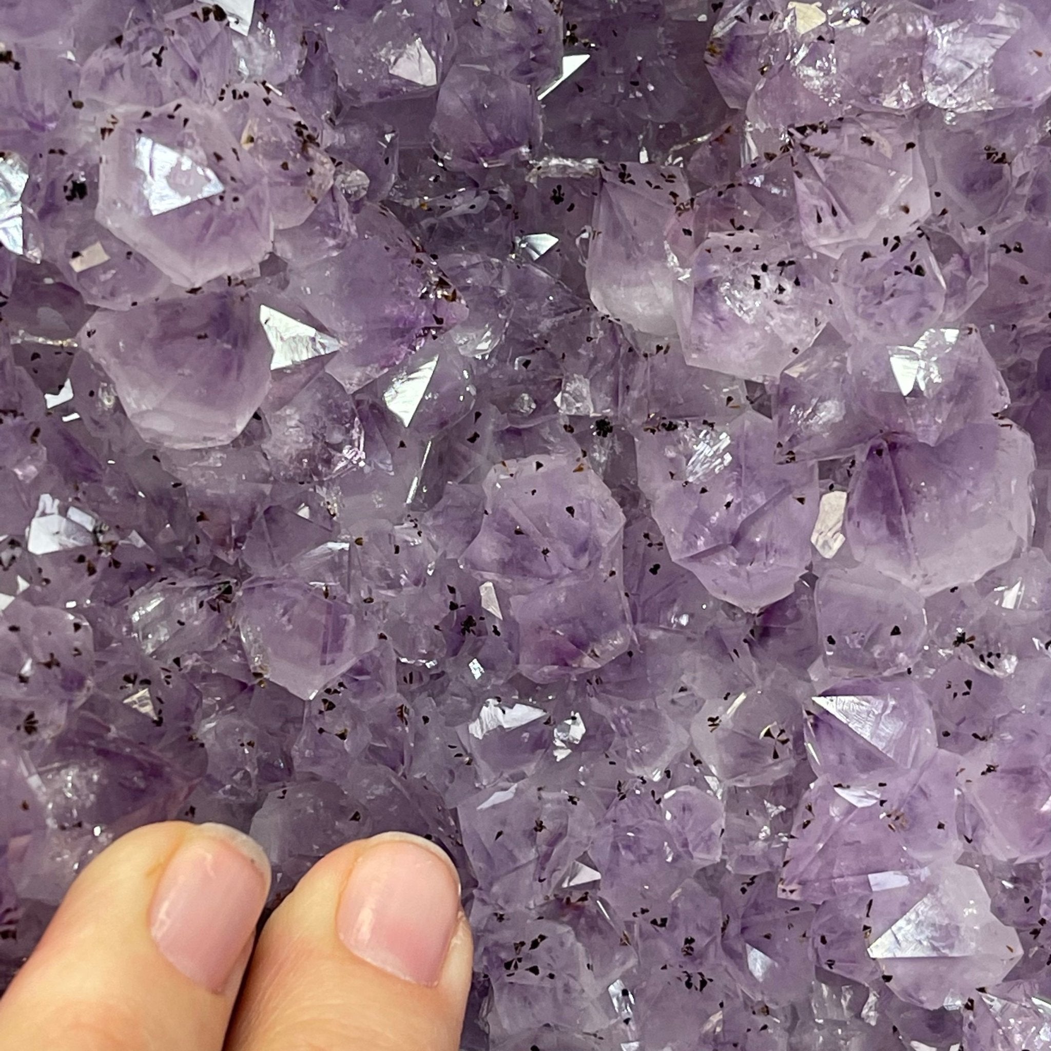 Large Standard Plus Quality Brazilian Amethyst Cathedral, 204 lbs & 39.9" Tall #5601-1180 by Brazil Gems - Brazil GemsBrazil GemsLarge Standard Plus Quality Brazilian Amethyst Cathedral, 204 lbs & 39.9" Tall #5601-1180 by Brazil GemsCathedrals5601-1180