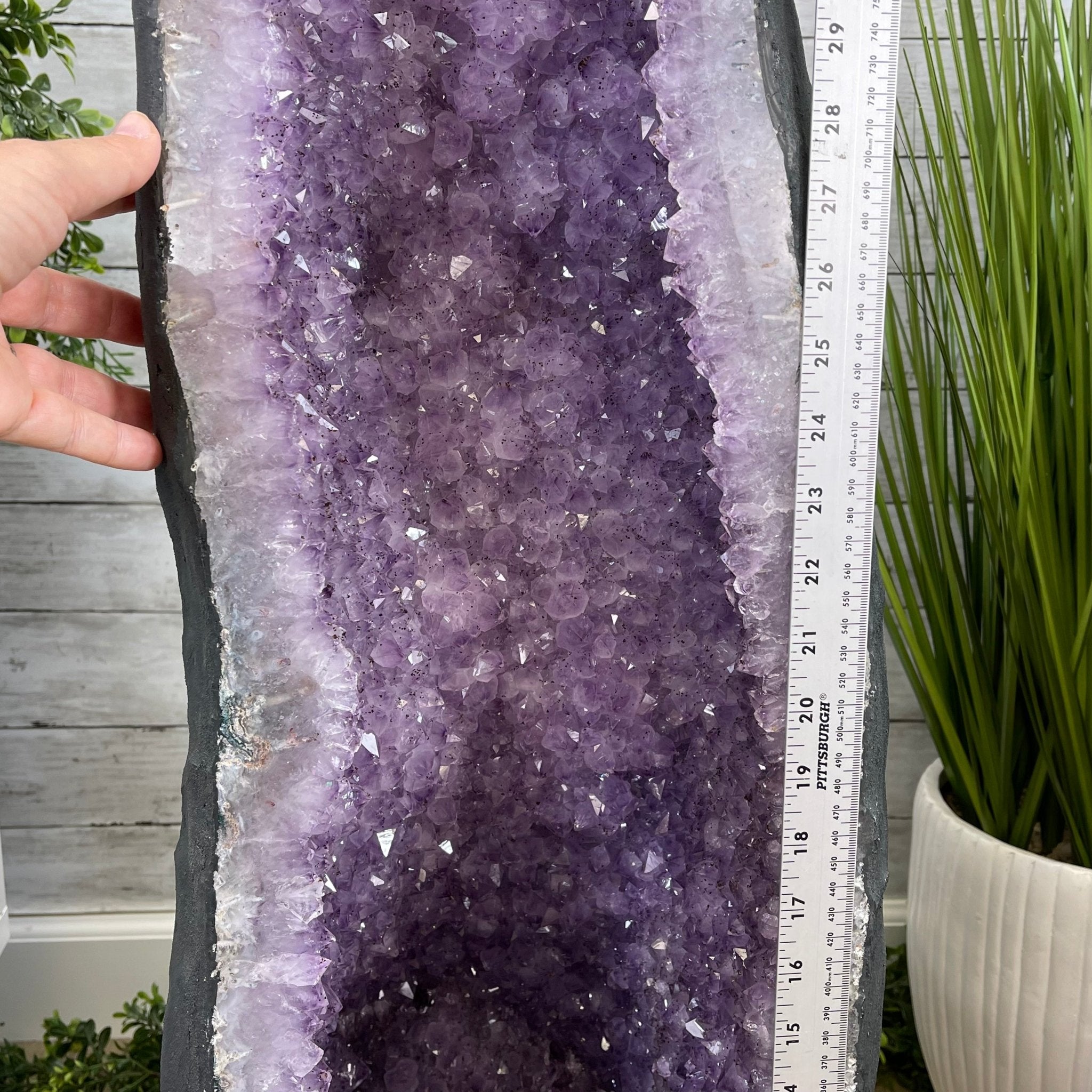 Large Standard Plus Quality Brazilian Amethyst Cathedral, 204 lbs & 39.9" Tall #5601-1180 by Brazil Gems - Brazil GemsBrazil GemsLarge Standard Plus Quality Brazilian Amethyst Cathedral, 204 lbs & 39.9" Tall #5601-1180 by Brazil GemsCathedrals5601-1180