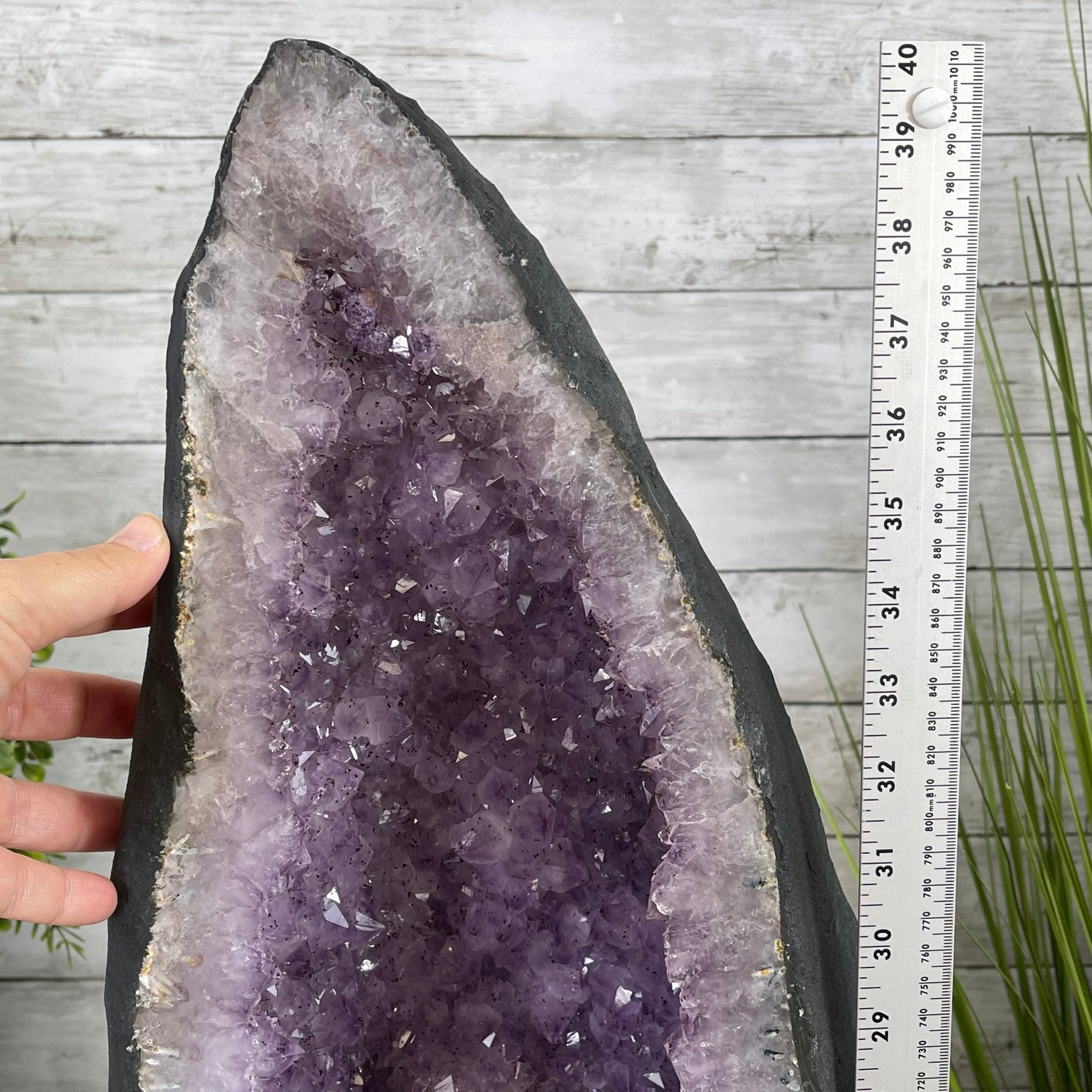 Large Standard Plus Quality Brazilian Amethyst Cathedral, 204 lbs & 39.9" Tall #5601-1180 by Brazil Gems - Brazil GemsBrazil GemsLarge Standard Plus Quality Brazilian Amethyst Cathedral, 204 lbs & 39.9" Tall #5601-1180 by Brazil GemsCathedrals5601-1180