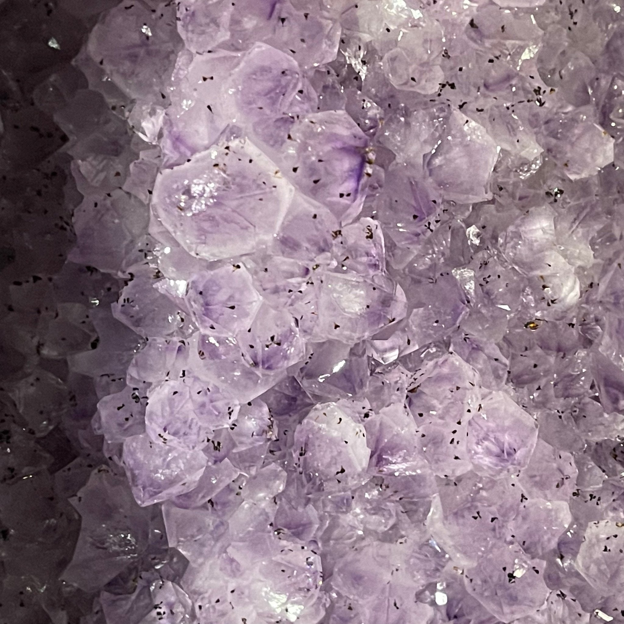 Large Standard Plus Quality Brazilian Amethyst Cathedral, 204 lbs & 39.9" Tall #5601-1180 by Brazil Gems - Brazil GemsBrazil GemsLarge Standard Plus Quality Brazilian Amethyst Cathedral, 204 lbs & 39.9" Tall #5601-1180 by Brazil GemsCathedrals5601-1180