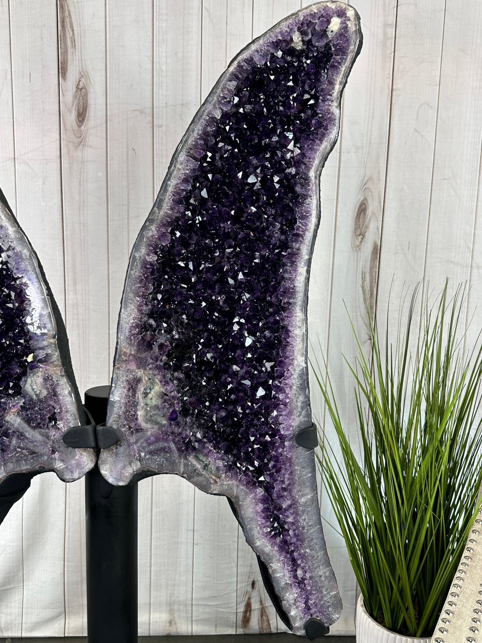 Large Super Quality Amethyst Wings on a Metal Stand, 337 lbs, 63" Tall #5493-0038 - Brazil GemsBrazil GemsLarge Super Quality Amethyst Wings on a Metal Stand, 337 lbs, 63" Tall #5493-0038Amethyst Butterfly Wings5493-0038