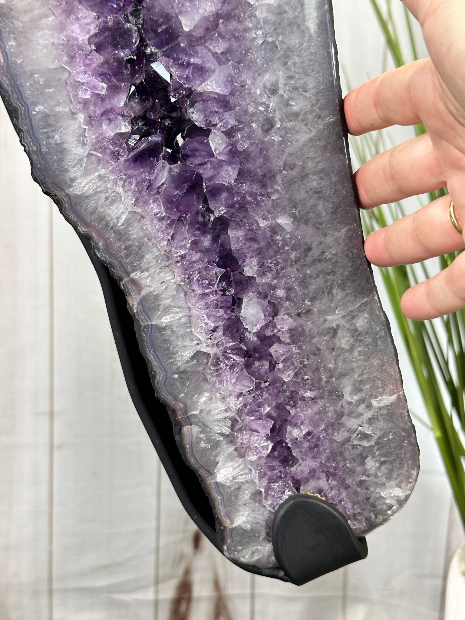 Large Super Quality Amethyst Wings on a Metal Stand, 337 lbs, 63" Tall #5493-0038 - Brazil GemsBrazil GemsLarge Super Quality Amethyst Wings on a Metal Stand, 337 lbs, 63" Tall #5493-0038Amethyst Butterfly Wings5493-0038