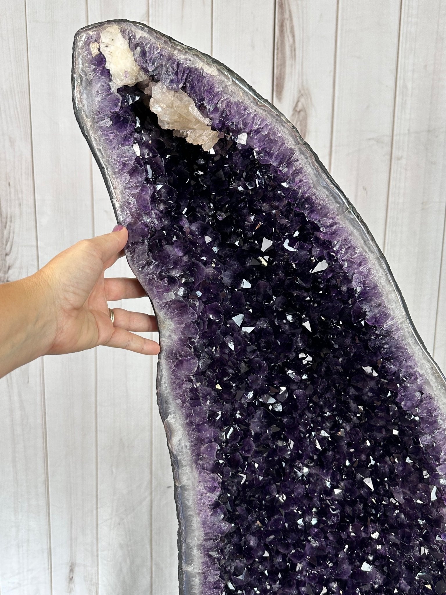 Large Super Quality Amethyst Wings on a Metal Stand, 337 lbs, 63" Tall #5493-0038 - Brazil GemsBrazil GemsLarge Super Quality Amethyst Wings on a Metal Stand, 337 lbs, 63" Tall #5493-0038Amethyst Butterfly Wings5493-0038