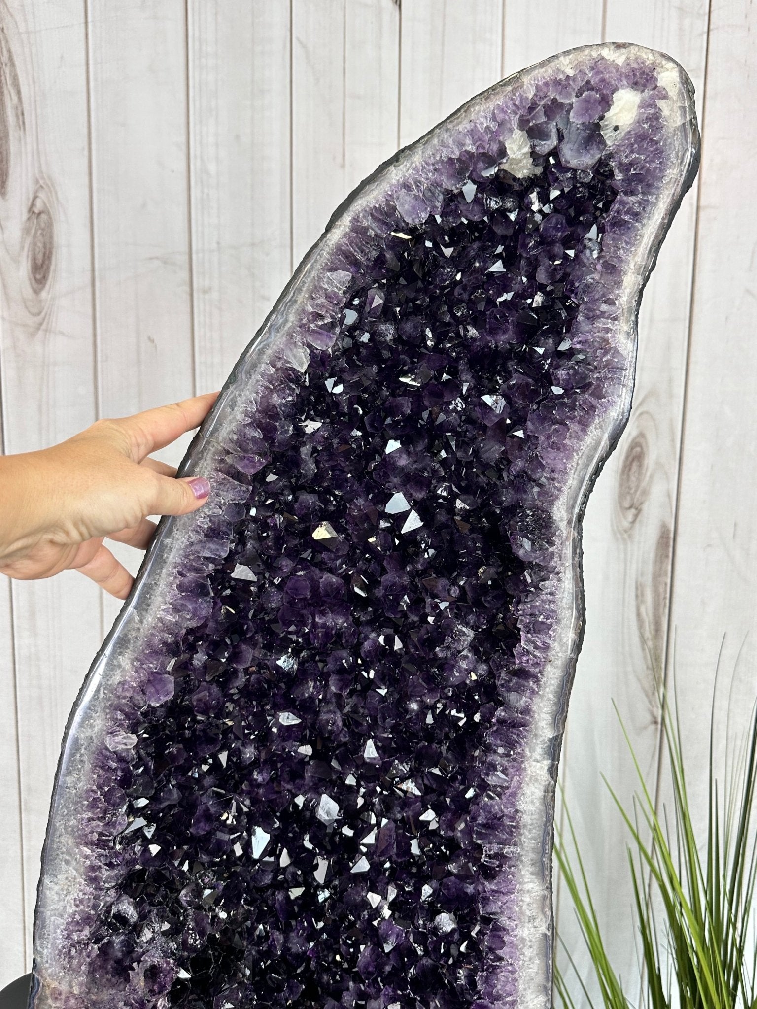 Large Super Quality Amethyst Wings on a Metal Stand, 337 lbs, 63" Tall #5493-0038 - Brazil GemsBrazil GemsLarge Super Quality Amethyst Wings on a Metal Stand, 337 lbs, 63" Tall #5493-0038Amethyst Butterfly Wings5493-0038