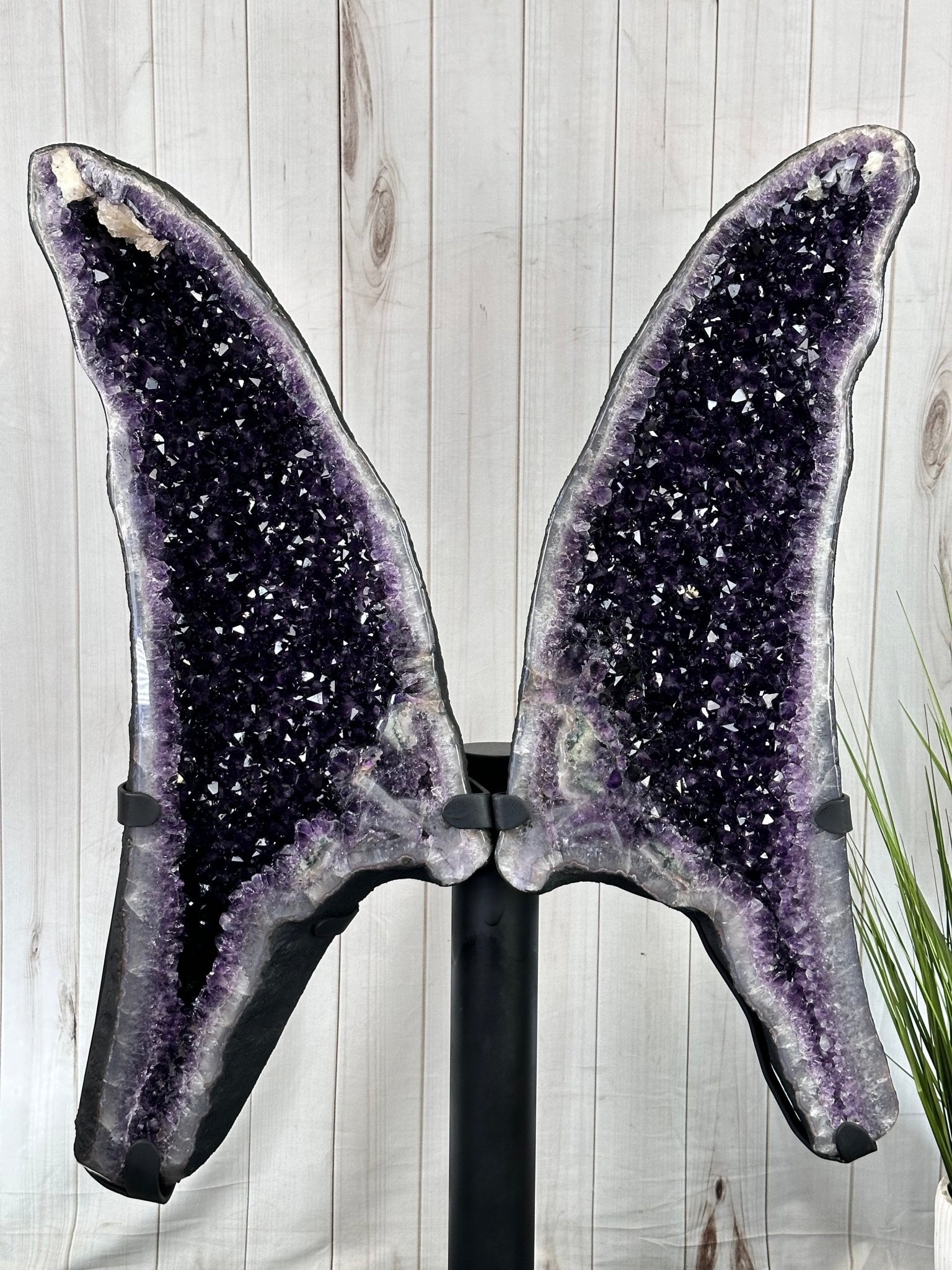 Large Super Quality Amethyst Wings on a Metal Stand, 337 lbs, 63" Tall #5493-0038 - Brazil GemsBrazil GemsLarge Super Quality Amethyst Wings on a Metal Stand, 337 lbs, 63" Tall #5493-0038Amethyst Butterfly Wings5493-0038