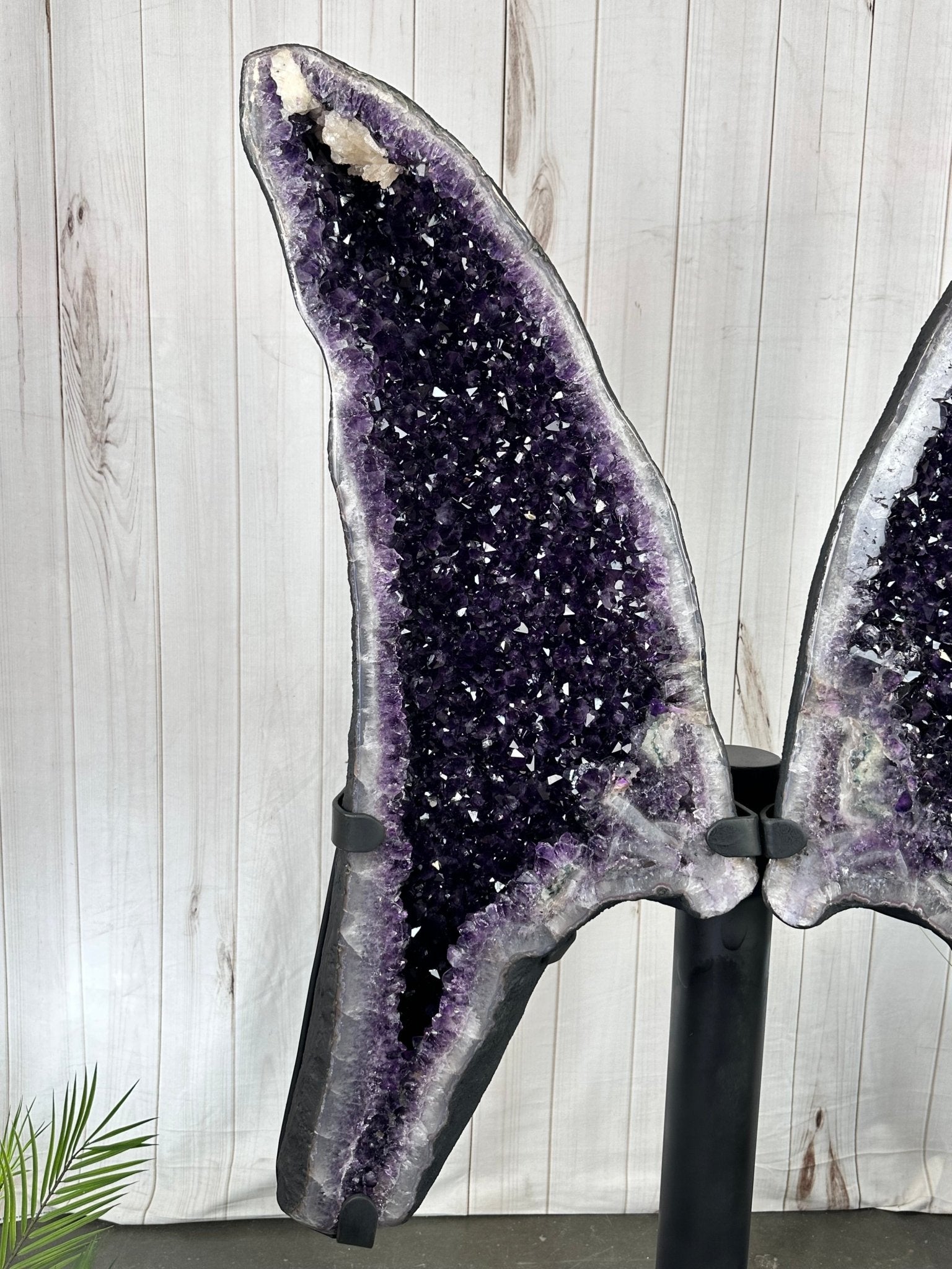 Large Super Quality Amethyst Wings on a Metal Stand, 337 lbs, 63" Tall #5493-0038 - Brazil GemsBrazil GemsLarge Super Quality Amethyst Wings on a Metal Stand, 337 lbs, 63" Tall #5493-0038Amethyst Butterfly Wings5493-0038