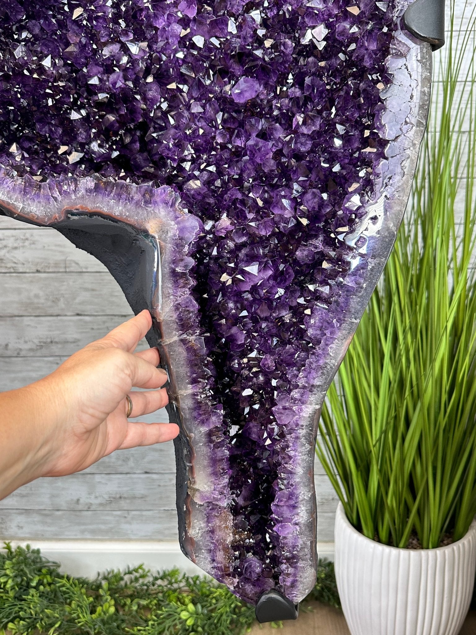 Large Super Quality Amethyst Wings on a Metal Stand, 503 lbs, 71" Tall #5493-0046 - Brazil GemsBrazil GemsLarge Super Quality Amethyst Wings on a Metal Stand, 503 lbs, 71" Tall #5493-0046Amethyst Butterfly Wings5493-0046