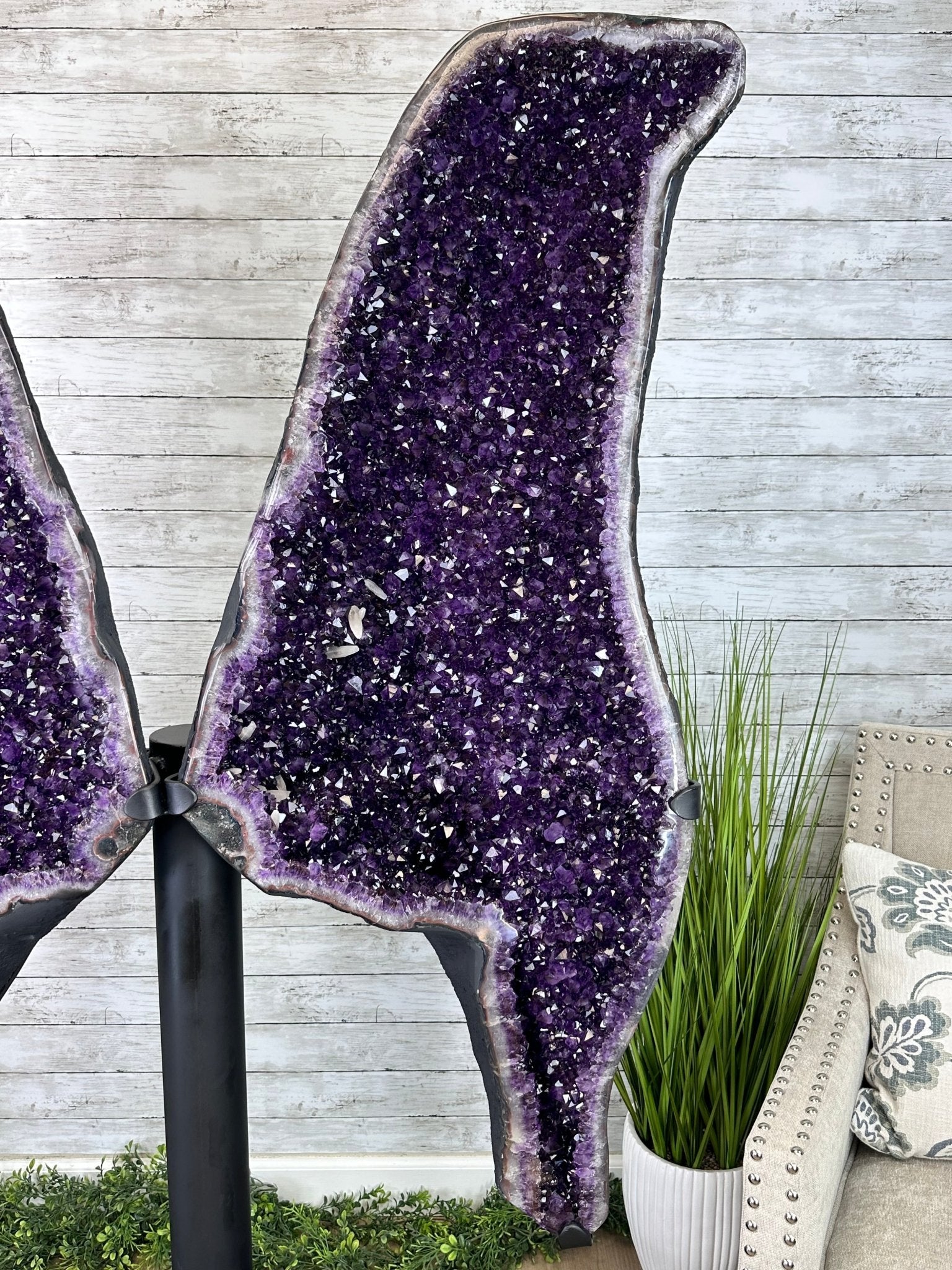 Large Super Quality Amethyst Wings on a Metal Stand, 503 lbs, 71" Tall #5493-0046 - Brazil GemsBrazil GemsLarge Super Quality Amethyst Wings on a Metal Stand, 503 lbs, 71" Tall #5493-0046Amethyst Butterfly Wings5493-0046