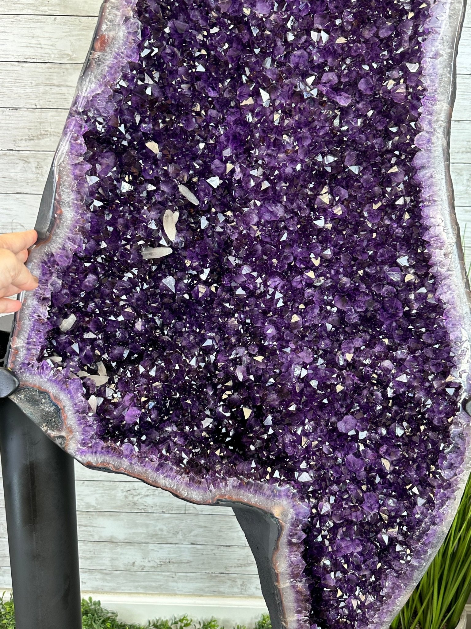 Large Super Quality Amethyst Wings on a Metal Stand, 503 lbs, 71" Tall #5493-0046 - Brazil GemsBrazil GemsLarge Super Quality Amethyst Wings on a Metal Stand, 503 lbs, 71" Tall #5493-0046Amethyst Butterfly Wings5493-0046