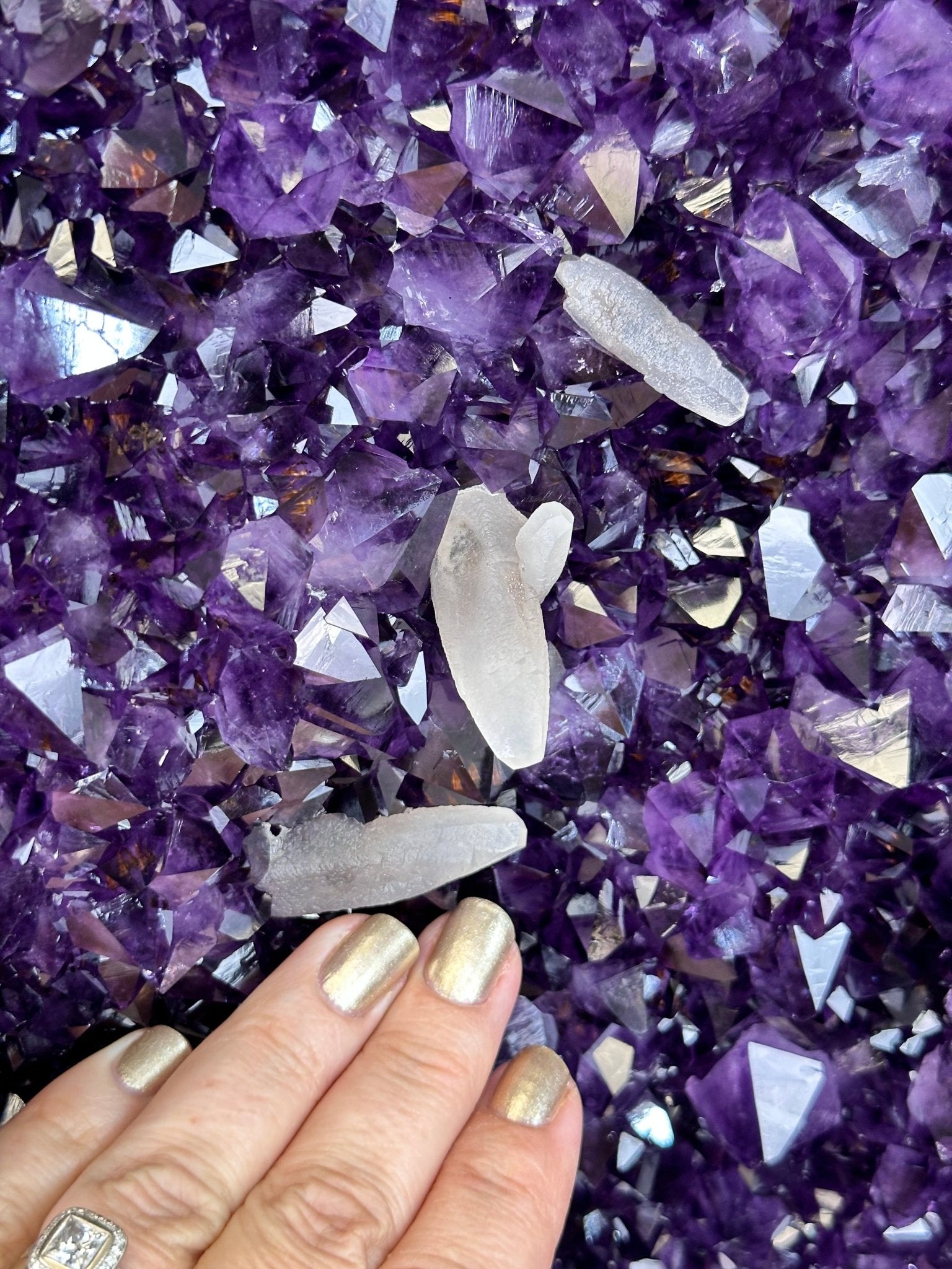 Large Super Quality Amethyst Wings on a Metal Stand, 503 lbs, 71" Tall #5493-0046 - Brazil GemsBrazil GemsLarge Super Quality Amethyst Wings on a Metal Stand, 503 lbs, 71" Tall #5493-0046Amethyst Butterfly Wings5493-0046