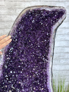 Large Super Quality Amethyst Wings on a Metal Stand, 503 lbs, 71" Tall #5493-0046 - Brazil GemsBrazil GemsLarge Super Quality Amethyst Wings on a Metal Stand, 503 lbs, 71" Tall #5493-0046Amethyst Butterfly Wings5493-0046