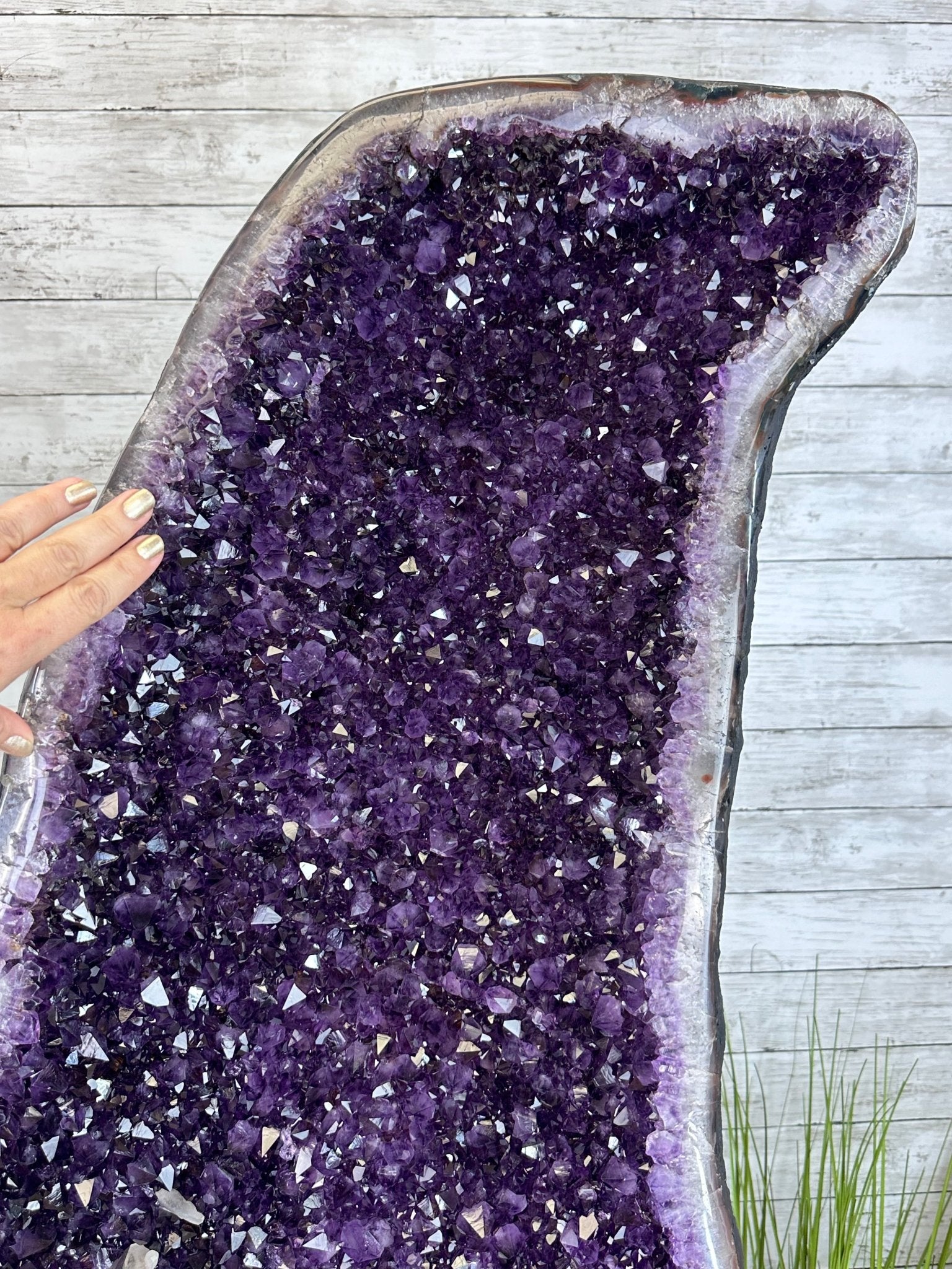 Large Super Quality Amethyst Wings on a Metal Stand, 503 lbs, 71" Tall #5493-0046 - Brazil GemsBrazil GemsLarge Super Quality Amethyst Wings on a Metal Stand, 503 lbs, 71" Tall #5493-0046Amethyst Butterfly Wings5493-0046