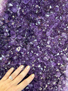 Large Super Quality Amethyst Wings on a Metal Stand, 503 lbs, 71" Tall #5493-0046 - Brazil GemsBrazil GemsLarge Super Quality Amethyst Wings on a Metal Stand, 503 lbs, 71" Tall #5493-0046Amethyst Butterfly Wings5493-0046