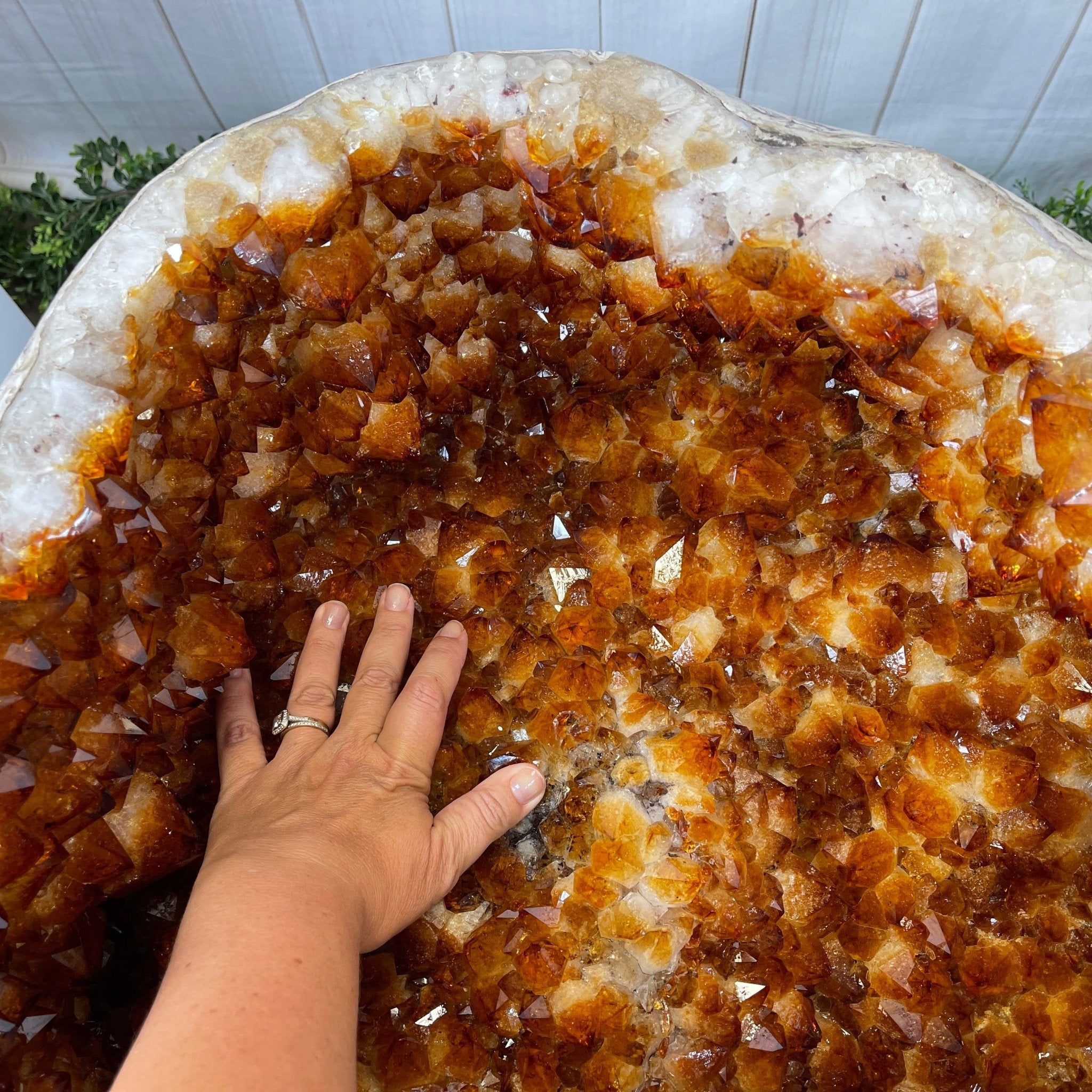 Large Super Quality Citrine "Jewelry Box" with Clam Shell Style Lid, 497 lbs & 28.25" tall Model #5858-0001 by Brazil Gems - Brazil GemsBrazil GemsLarge Super Quality Citrine "Jewelry Box" with Clam Shell Style Lid, 497 lbs & 28.25" tall Model #5858-0001 by Brazil GemsGeode Jewelry Boxes5858-0001