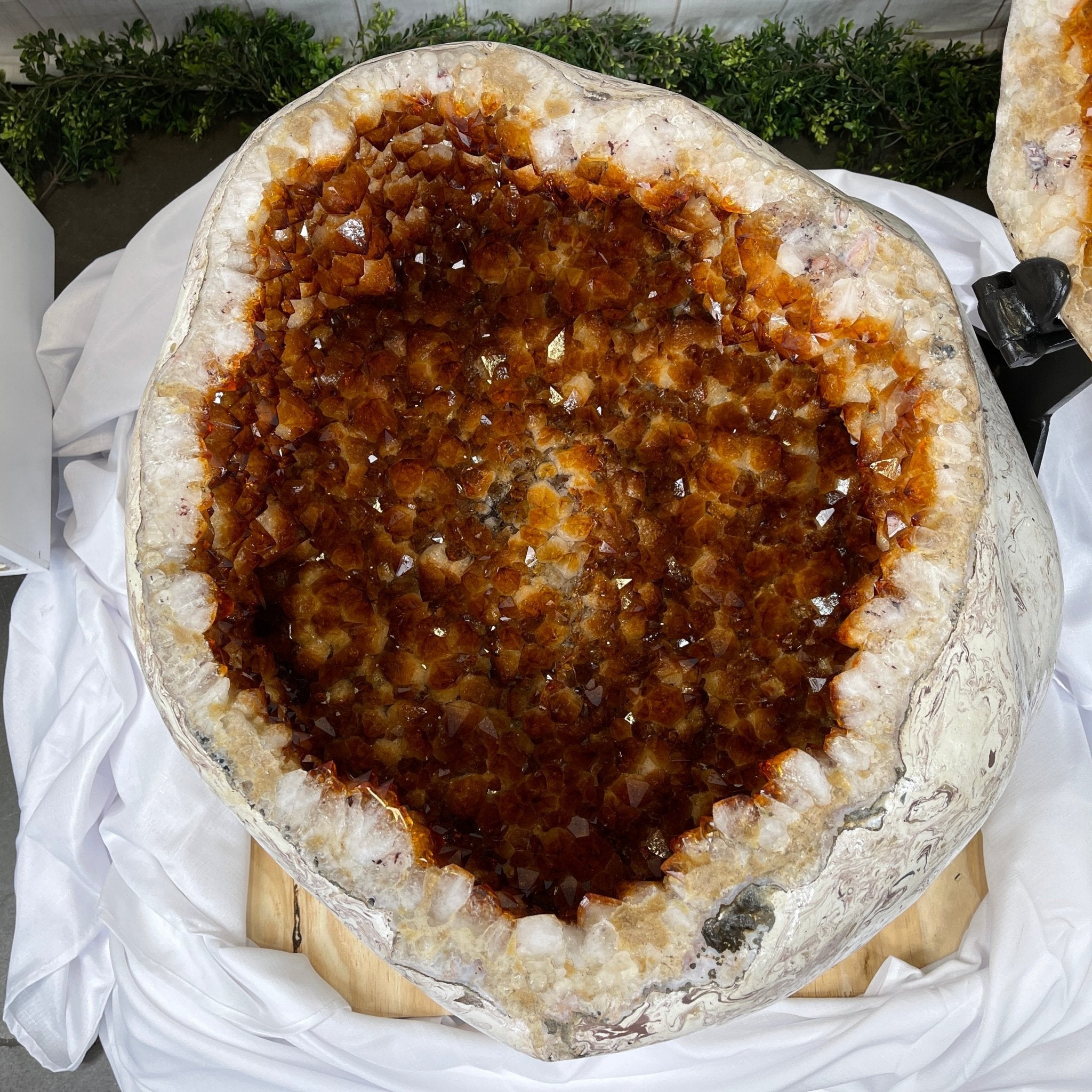 Large Super Quality Citrine "Jewelry Box" with Clam Shell Style Lid, 497 lbs & 28.25" tall Model #5858-0001 by Brazil Gems - Brazil GemsBrazil GemsLarge Super Quality Citrine "Jewelry Box" with Clam Shell Style Lid, 497 lbs & 28.25" tall Model #5858-0001 by Brazil GemsGeode Jewelry Boxes5858-0001