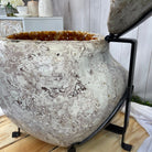 Large Super Quality Citrine "Jewelry Box" with Clam Shell Style Lid, 497 lbs & 28.25" tall Model #5858-0001 by Brazil Gems - Brazil GemsBrazil GemsLarge Super Quality Citrine "Jewelry Box" with Clam Shell Style Lid, 497 lbs & 28.25" tall Model #5858-0001 by Brazil GemsGeode Jewelry Boxes5858-0001