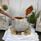 Large Super Quality Citrine "Jewelry Box" with Clam Shell Style Lid, 497 lbs & 28.25" tall Model #5858-0001 by Brazil Gems - Brazil GemsBrazil GemsLarge Super Quality Citrine "Jewelry Box" with Clam Shell Style Lid, 497 lbs & 28.25" tall Model #5858-0001 by Brazil GemsGeode Jewelry Boxes5858-0001