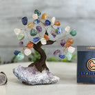 Mixed Gems 5" Tall Handmade Gemstone Tree on a Crystal base, 35 Gems #5401MIXD - Brazil GemsBrazil GemsMixed Gems 5" Tall Handmade Gemstone Tree on a Crystal base, 35 Gems #5401MIXDGemstone Trees5401MIXD