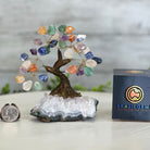 Mixed Gems 5" Tall Handmade Gemstone Tree on a Crystal base, 35 Gems #5401MIXD - Brazil GemsBrazil GemsMixed Gems 5" Tall Handmade Gemstone Tree on a Crystal base, 35 Gems #5401MIXDGemstone Trees5401MIXD
