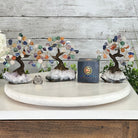 Mixed Gems 5" Tall Handmade Gemstone Tree on a Crystal base, 35 Gems #5401MIXD - Brazil GemsBrazil GemsMixed Gems 5" Tall Handmade Gemstone Tree on a Crystal base, 35 Gems #5401MIXDGemstone Trees5401MIXD